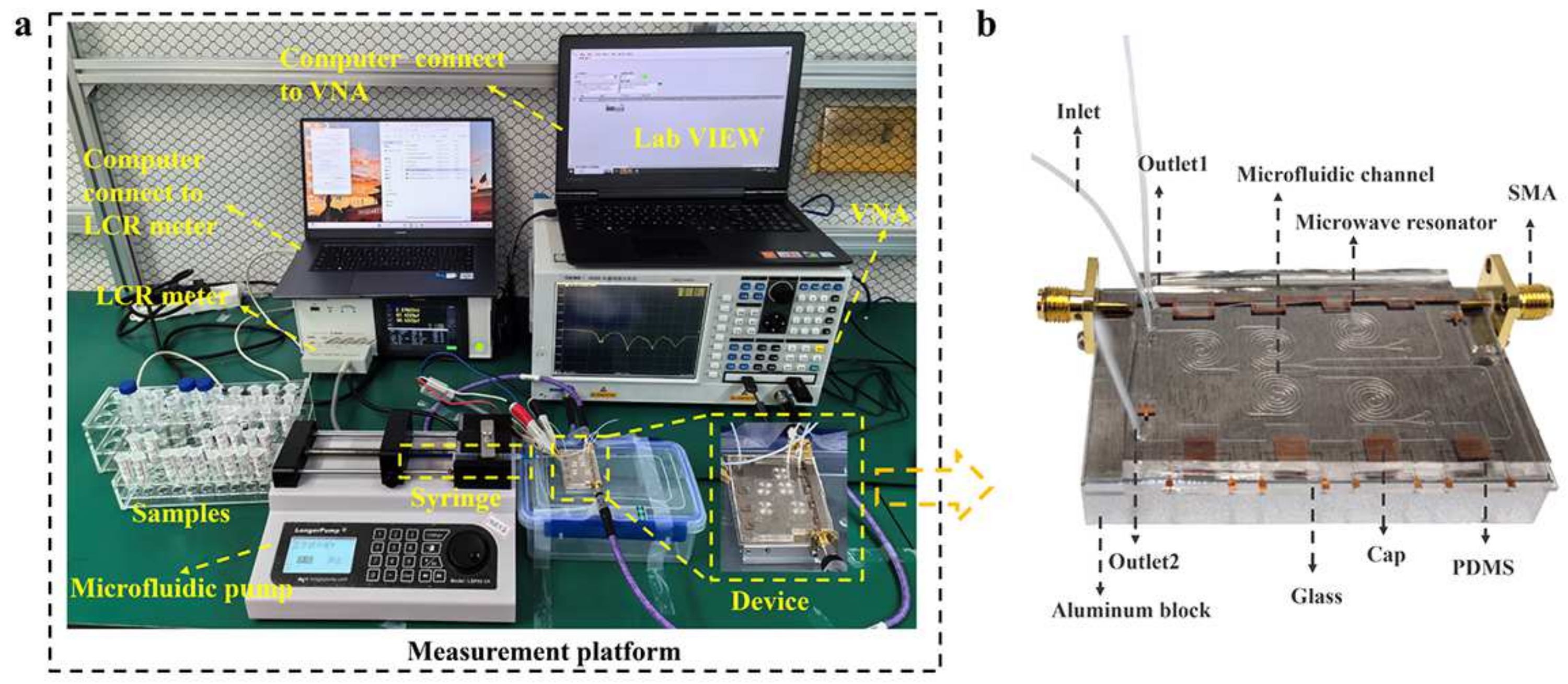Biosensors 15 00045 g003
