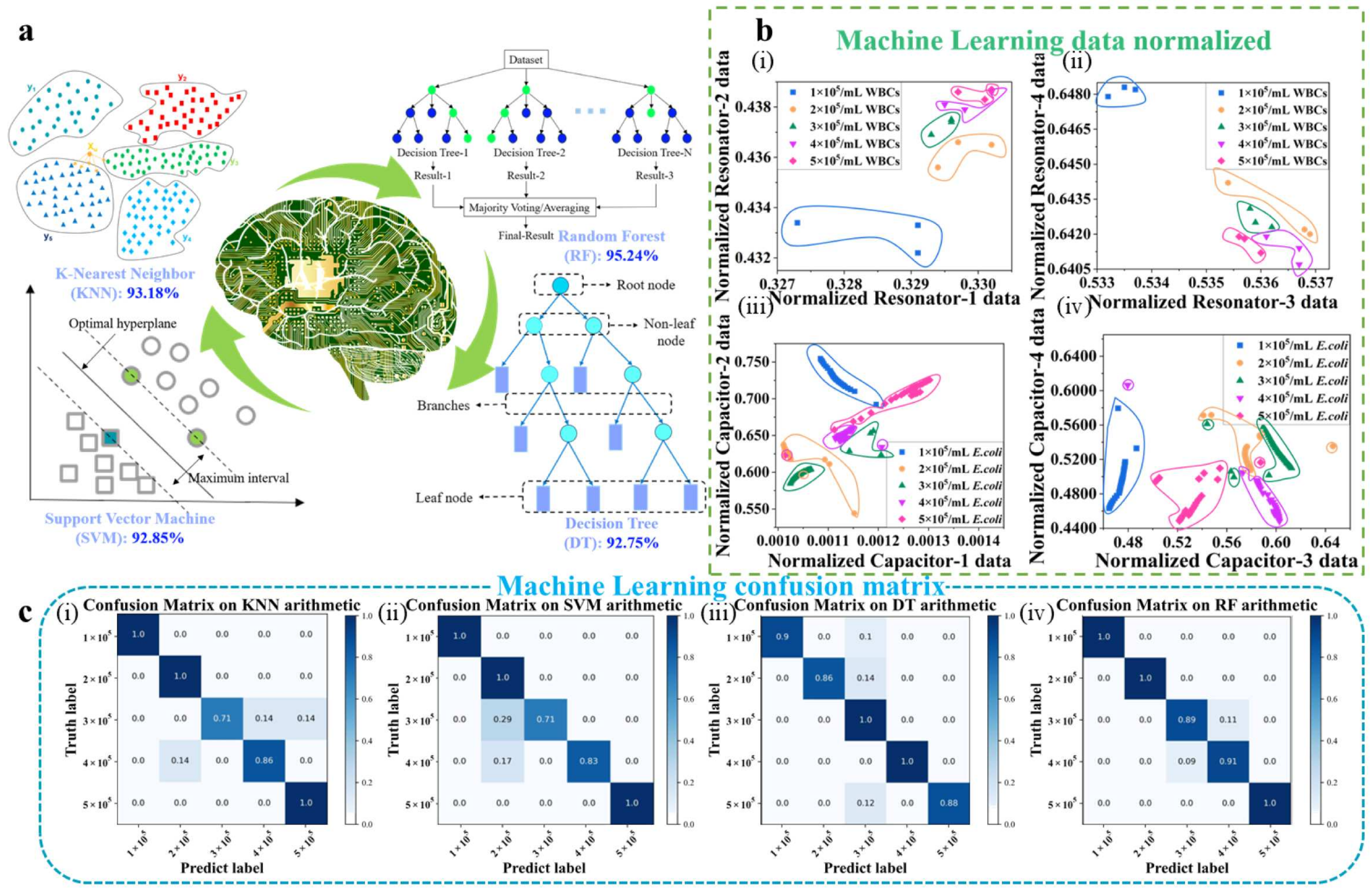 Biosensors 15 00045 g006