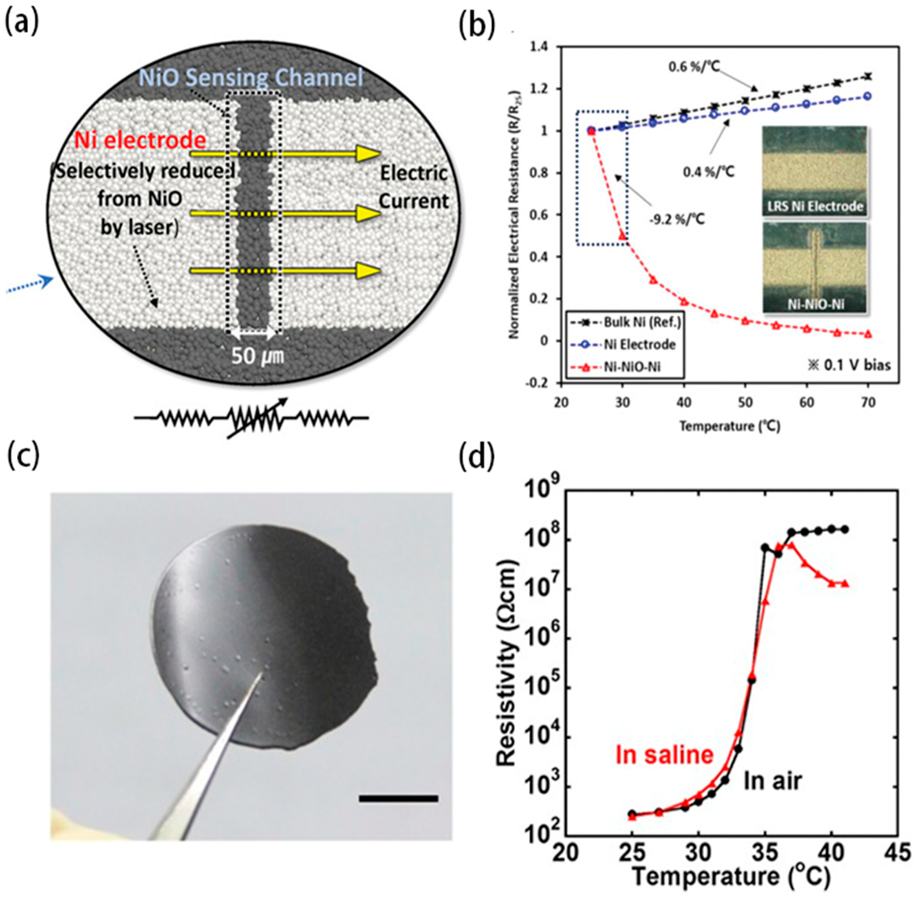 Biosensors 15 00053 g004