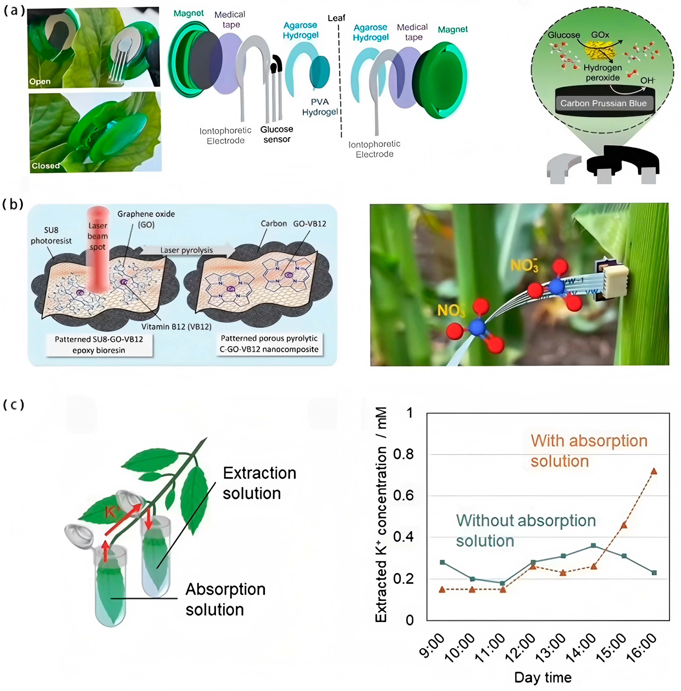 Biosensors 15 00053 g007