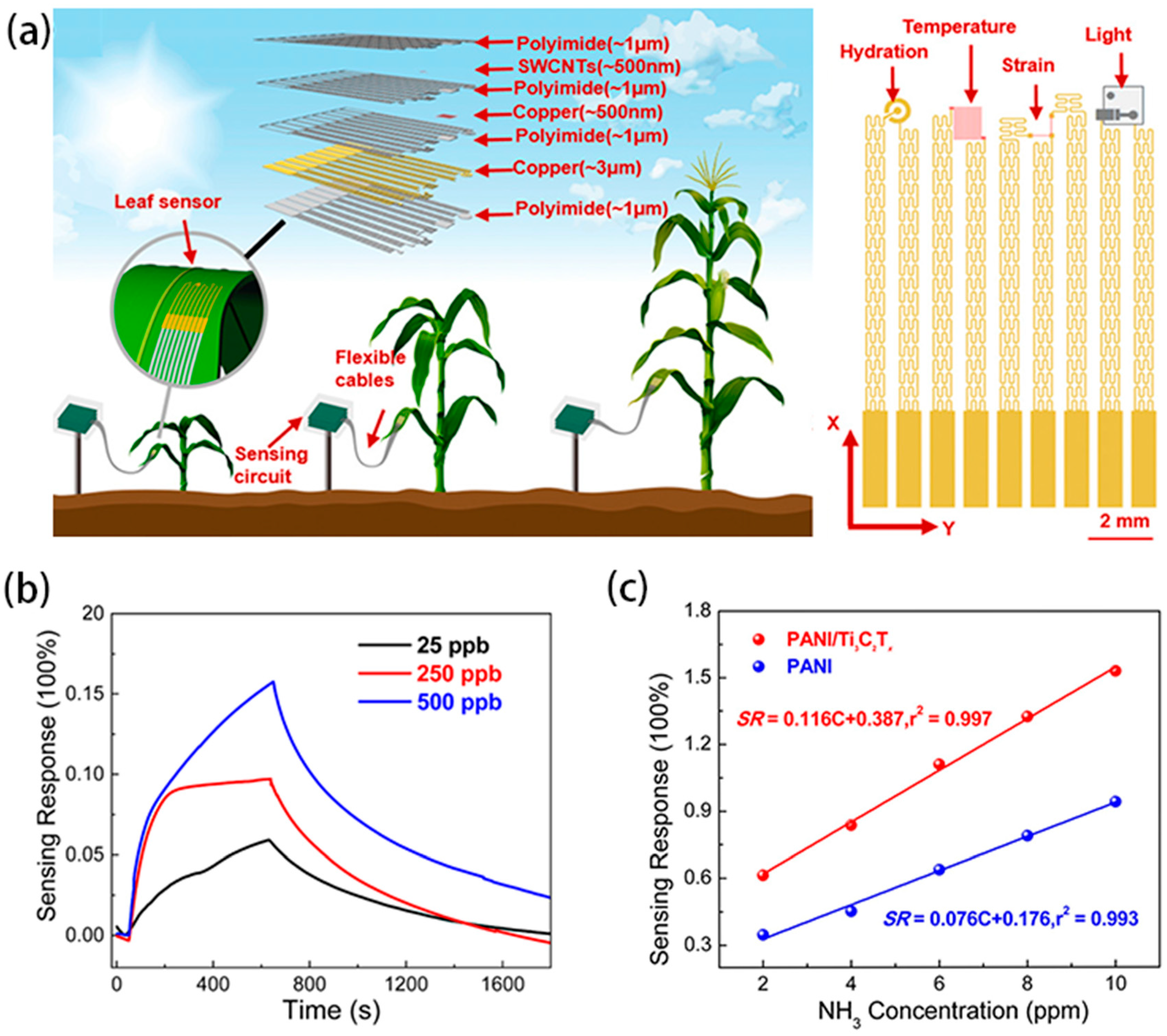 Biosensors 15 00053 g010