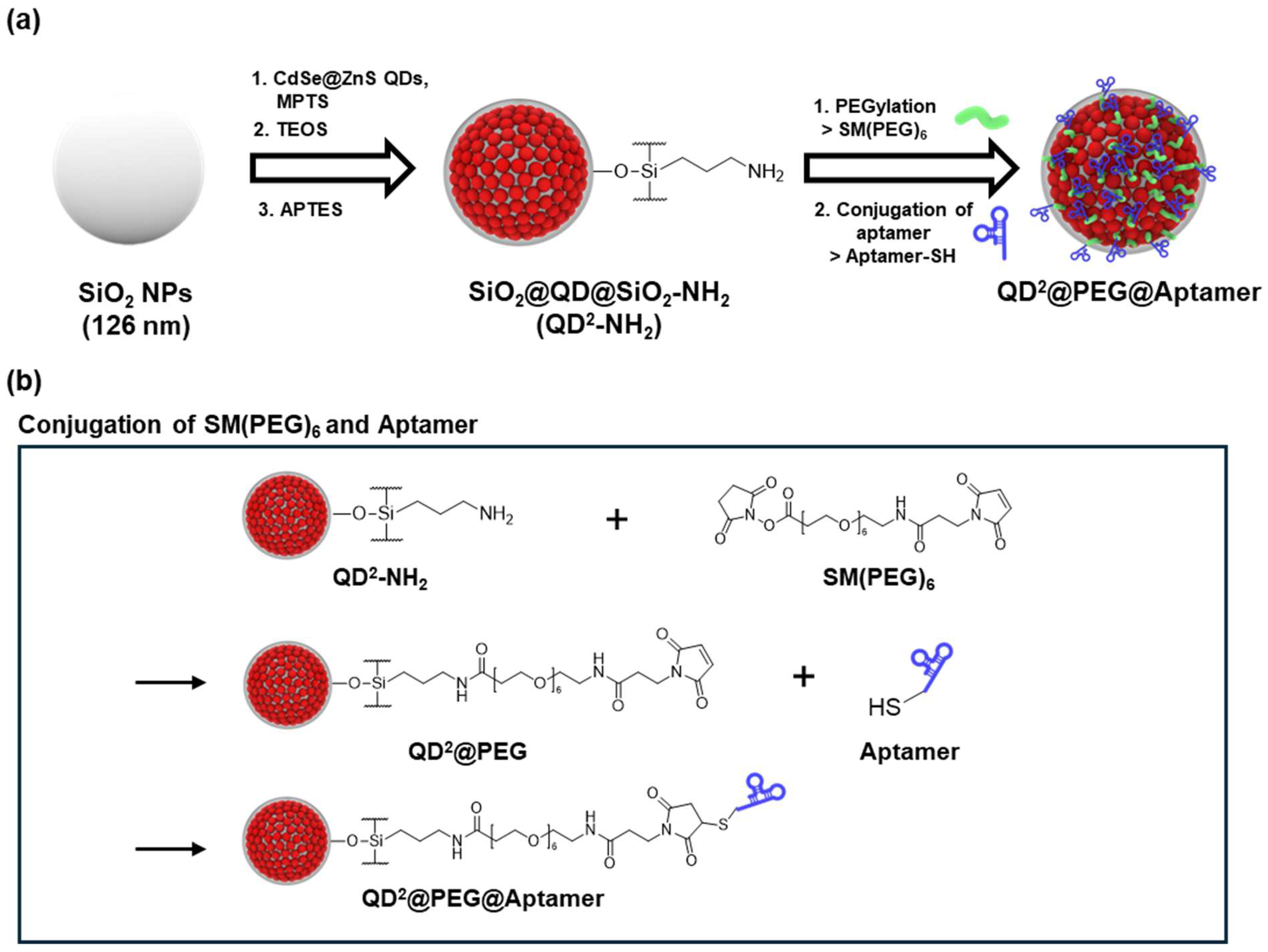 Biosensors 15 00054 g001