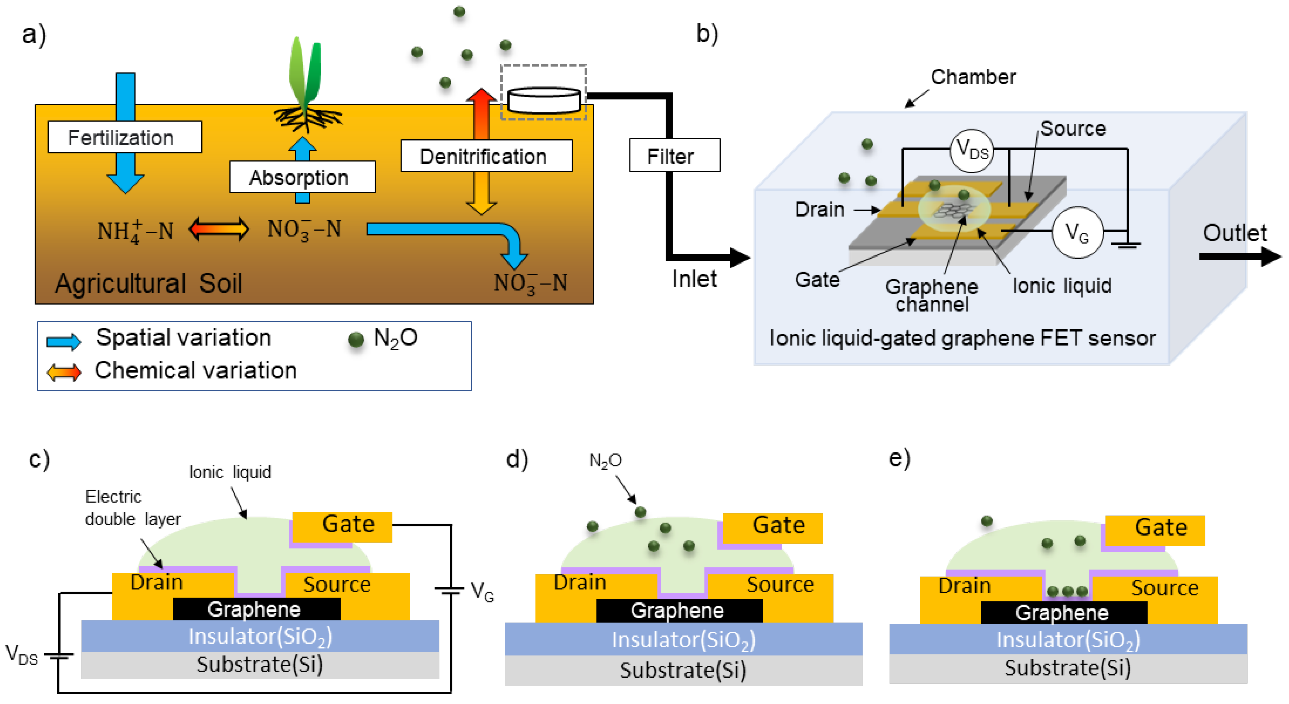 Biosensors 15 00055 g001