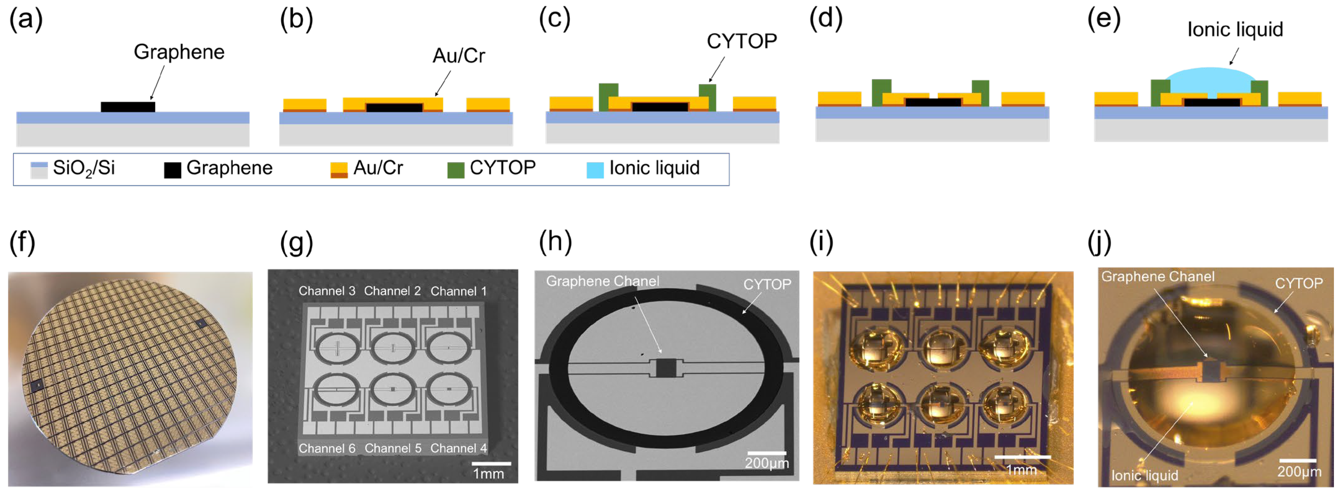 Biosensors 15 00055 g003