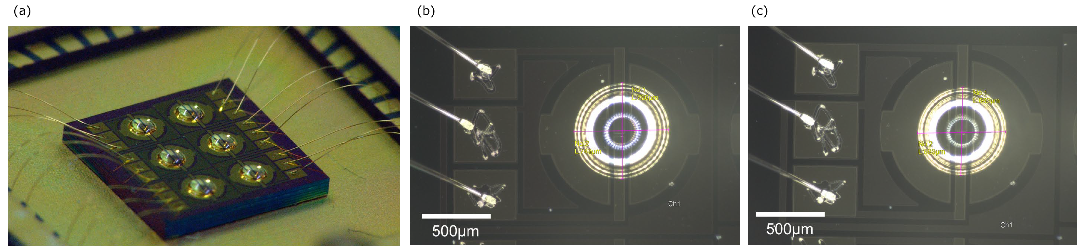 Biosensors 15 00055 g010