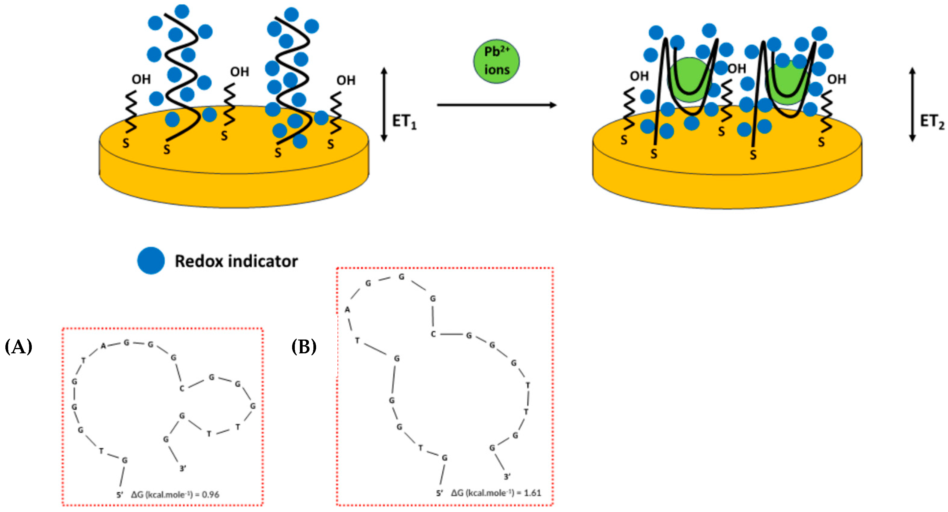 Biosensors 15 00059 sch001