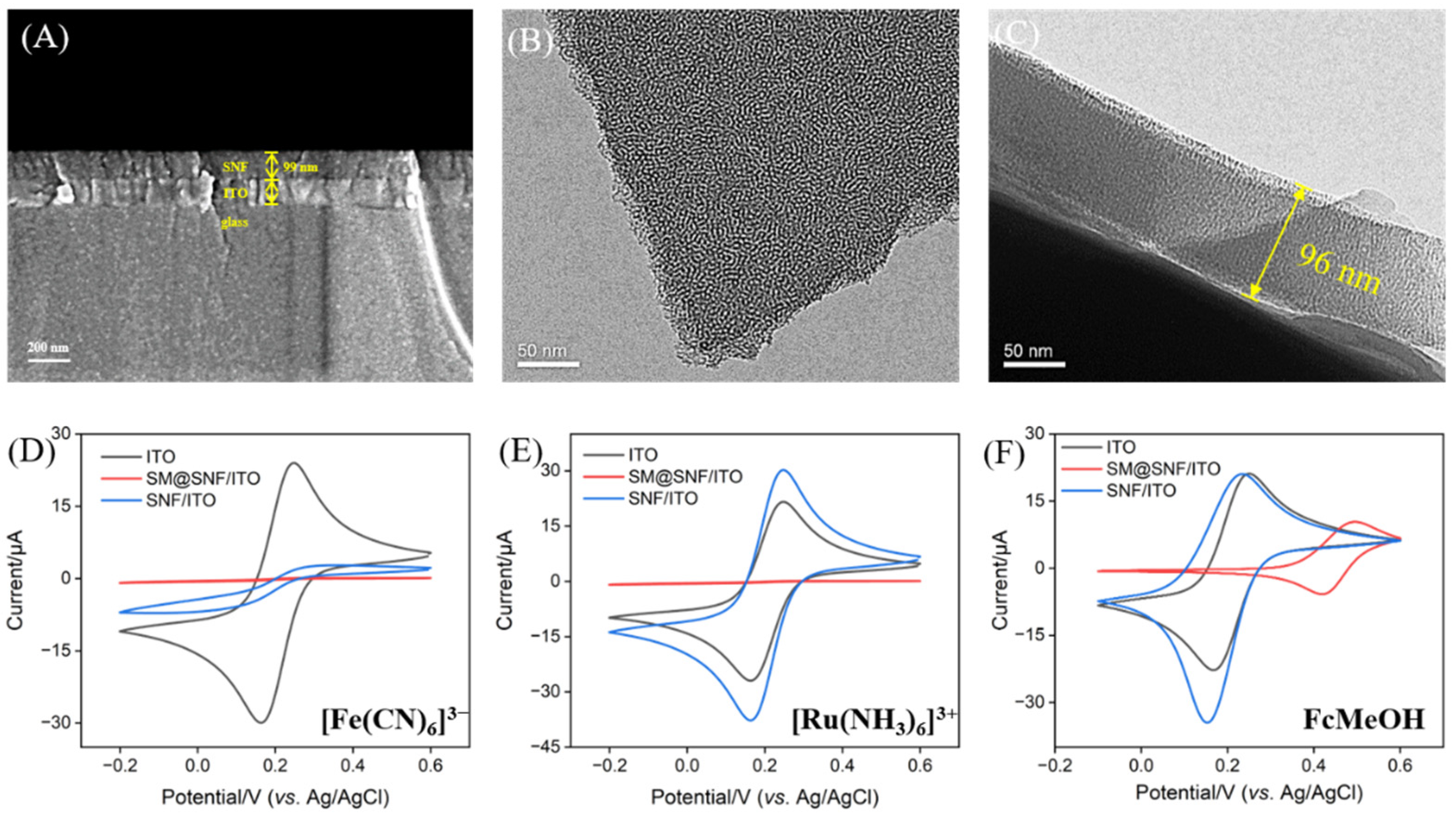 Biosensors 15 00063 g002