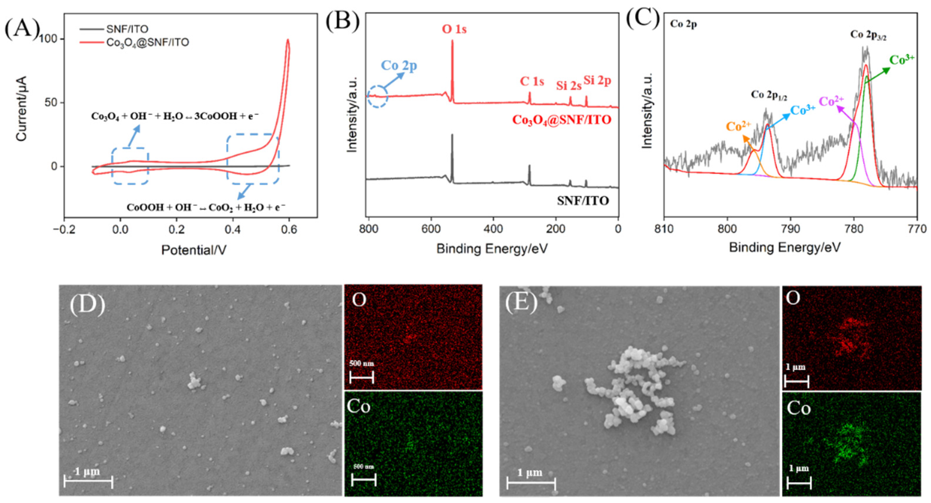 Biosensors 15 00063 g003