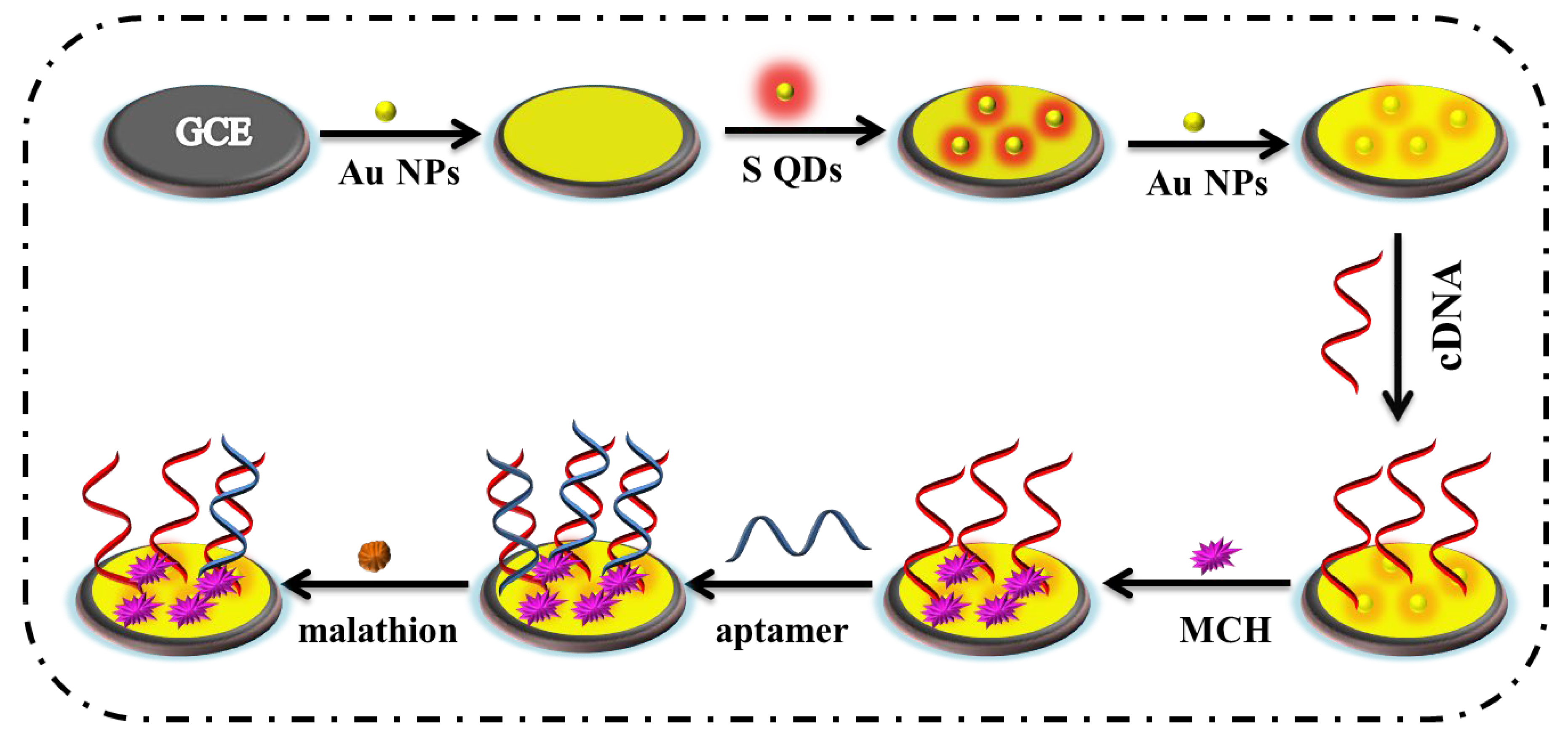 Biosensors 15 00064 g002