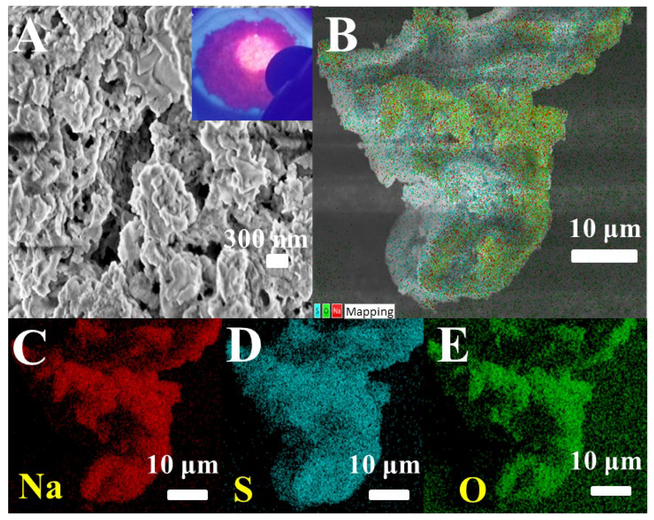 Biosensors 15 00064 g003
