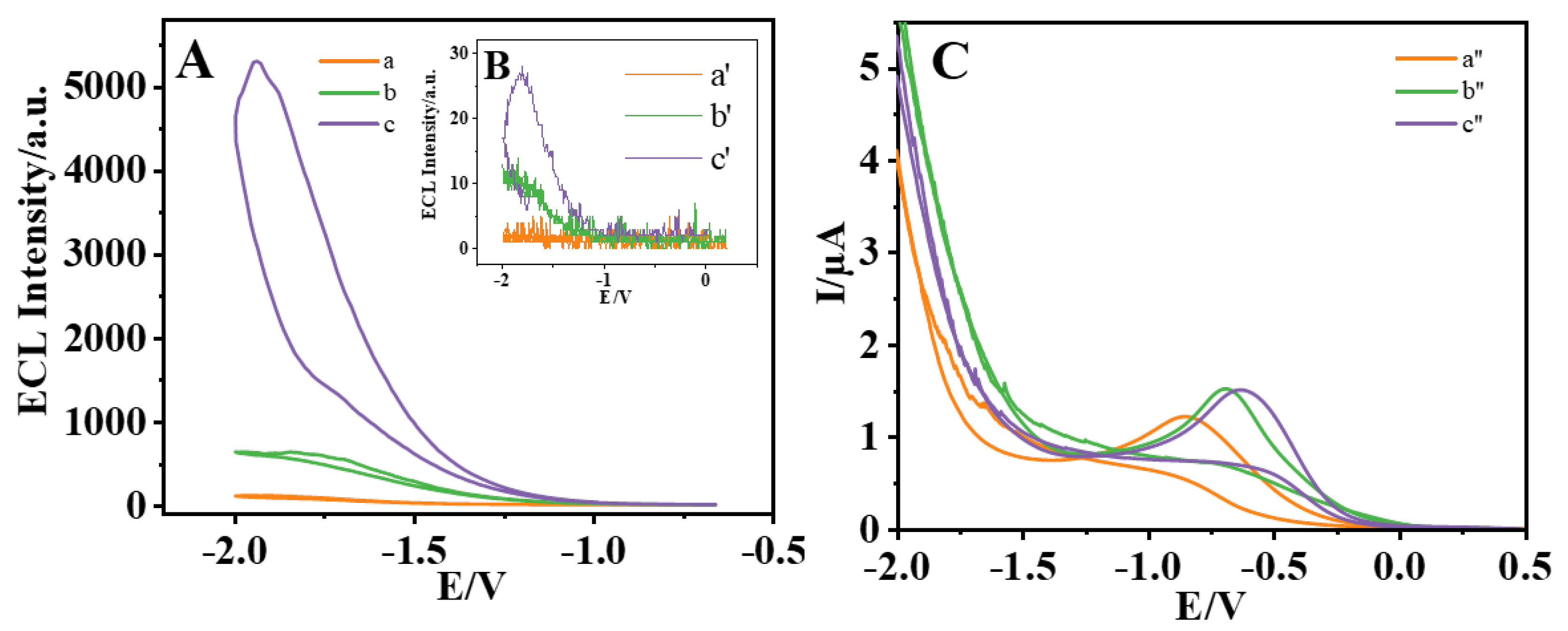 Biosensors 15 00064 g006