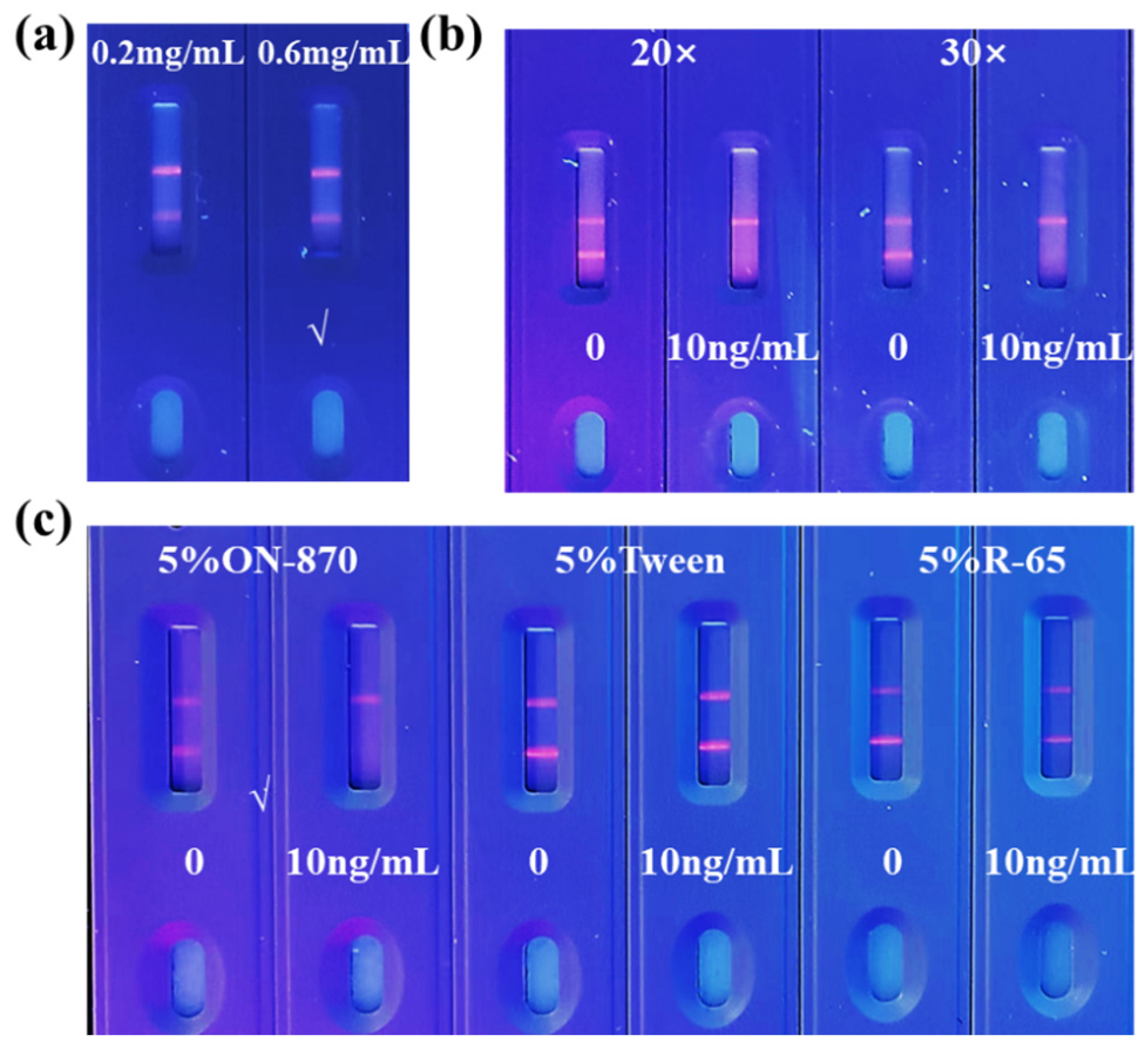 A Time-Resolved Fluorescent Microsphere