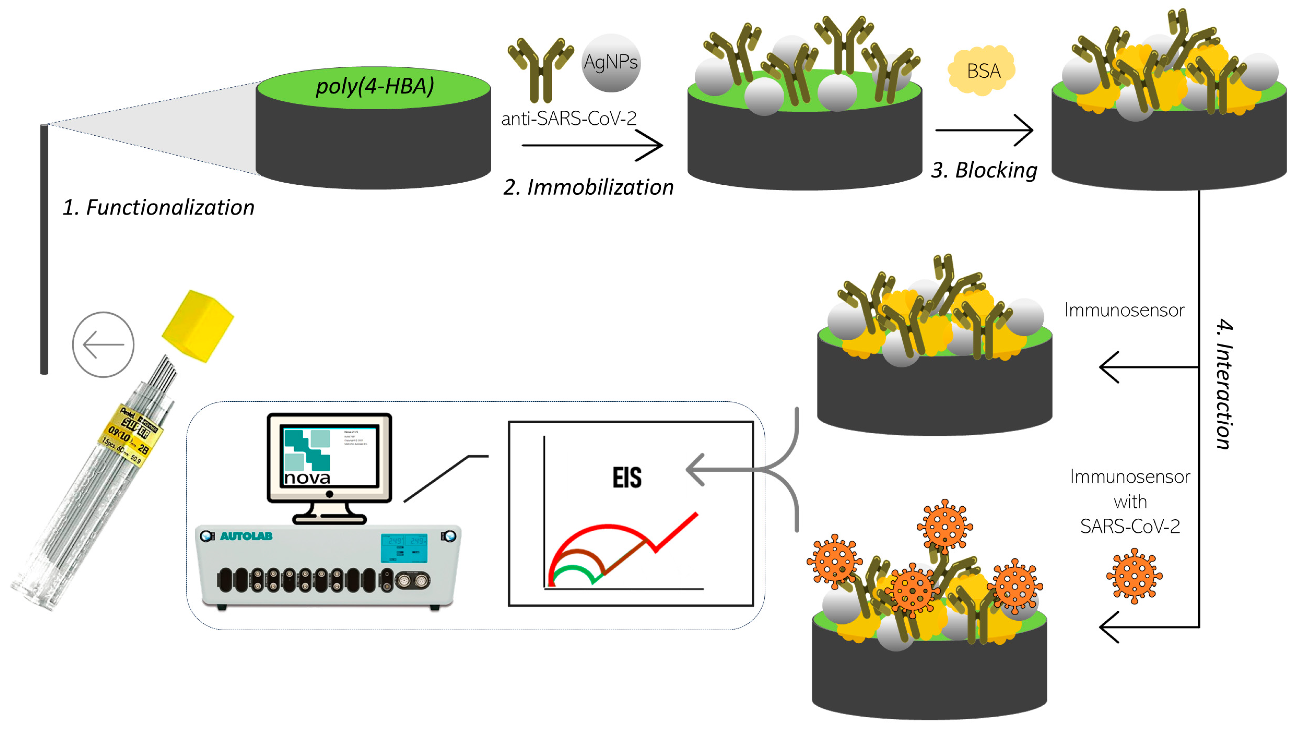 Biosensors 15 00067 g001