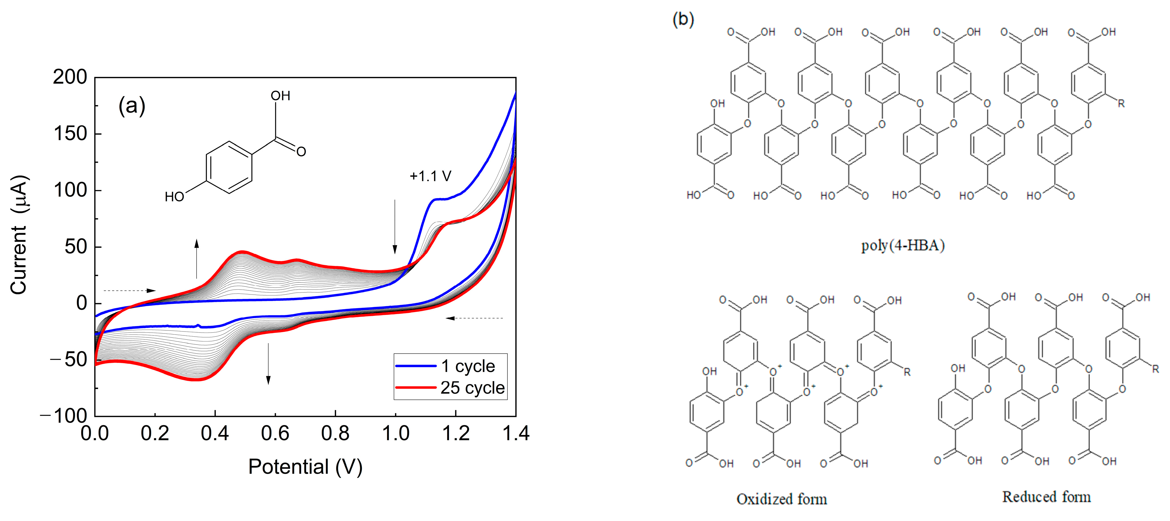 Biosensors 15 00067 g002