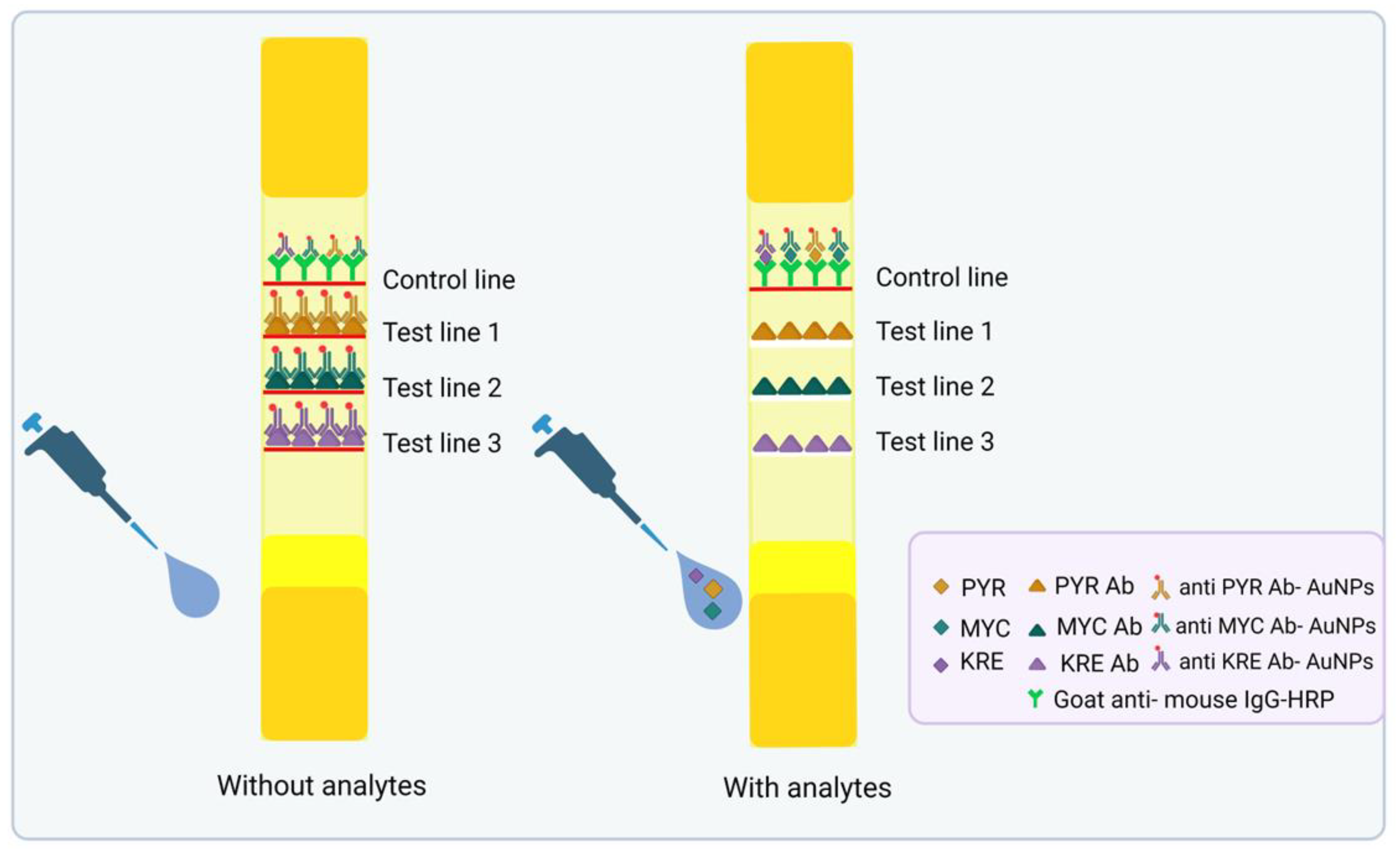 Biosensors 15 00068 g002