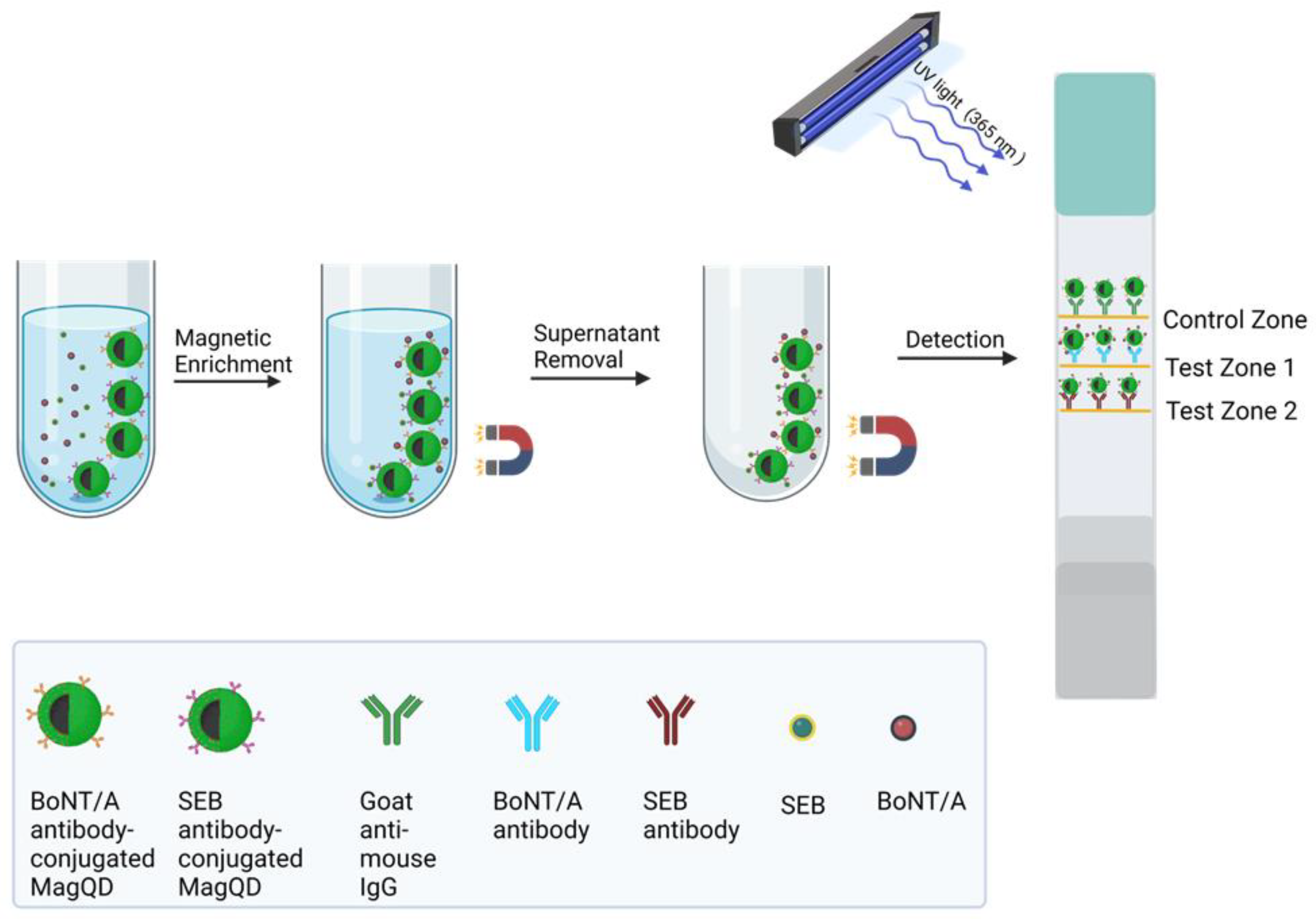 Biosensors 15 00068 g003