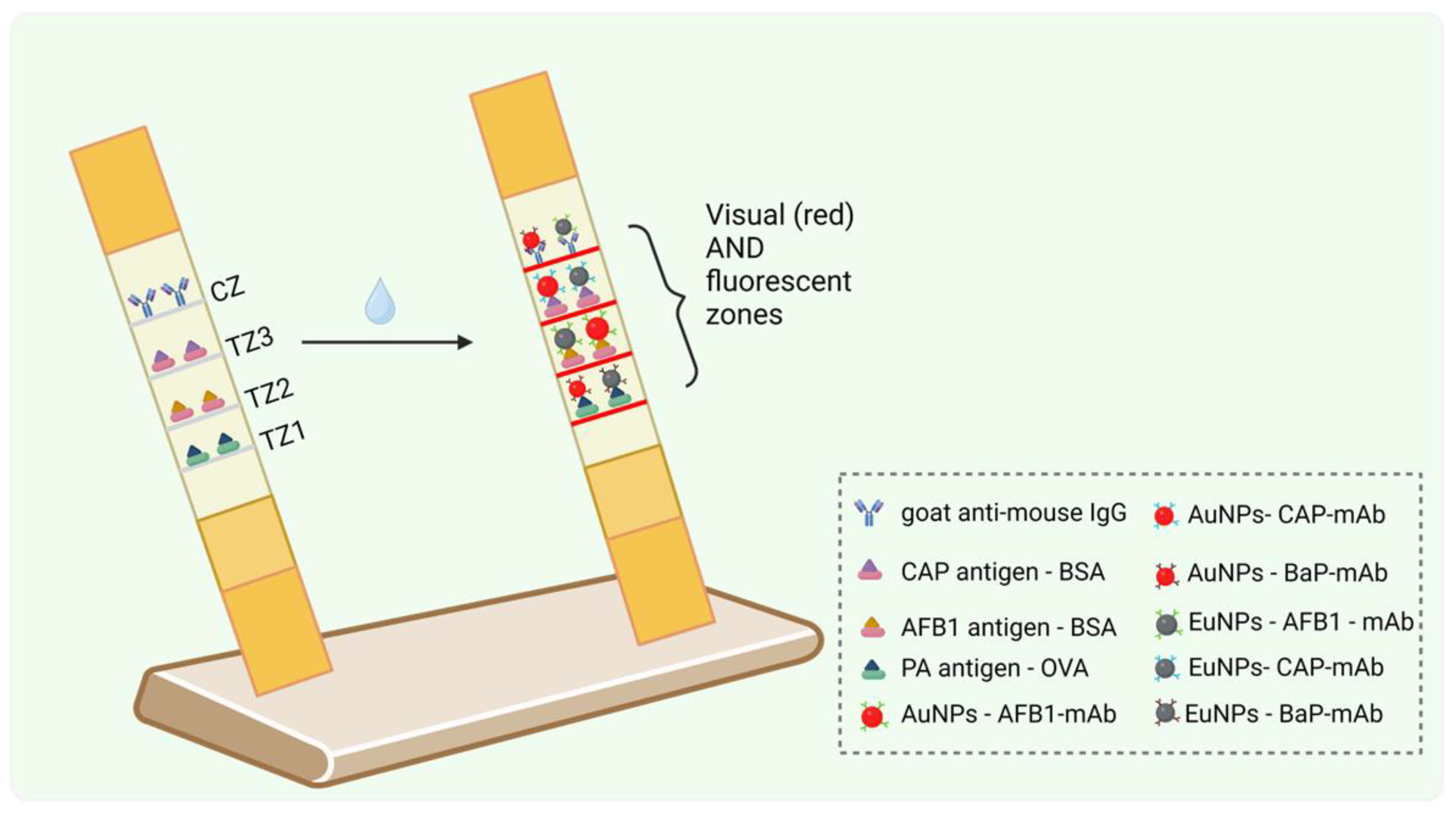 Biosensors 15 00068 g004