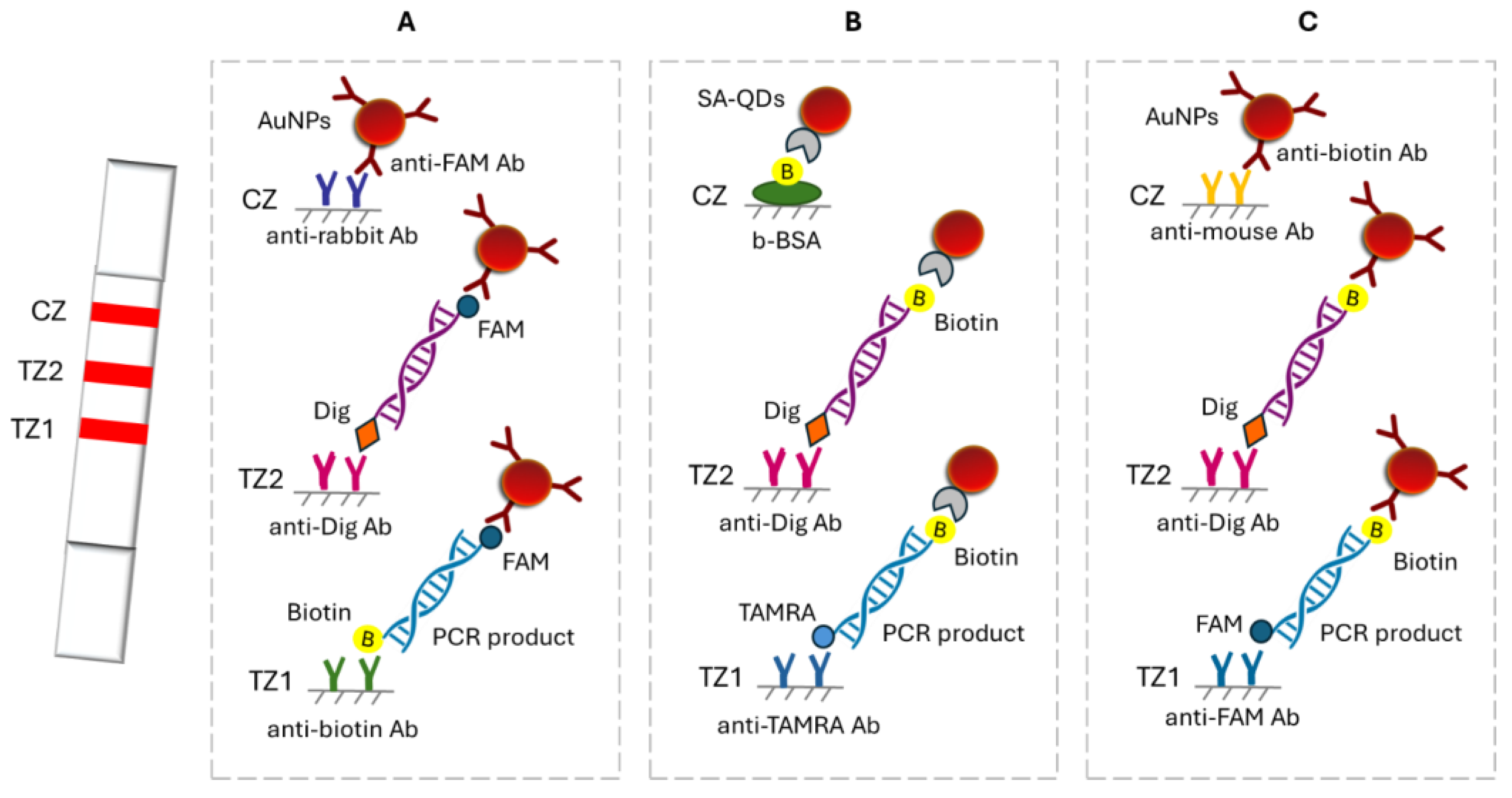 Biosensors 15 00068 g005