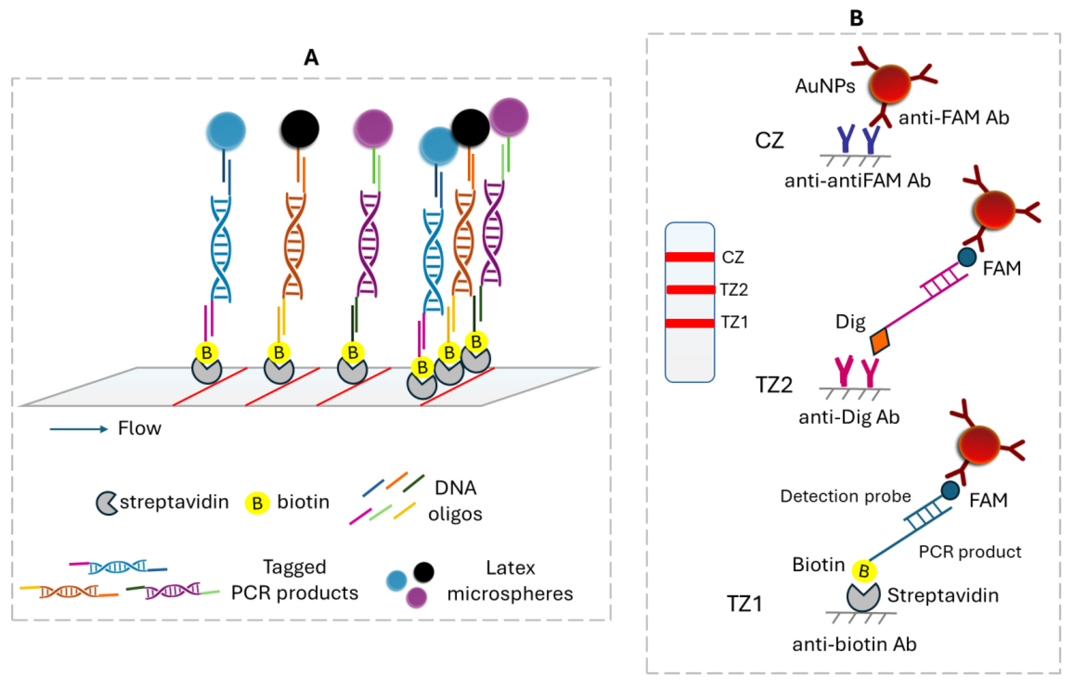 Biosensors 15 00068 g006