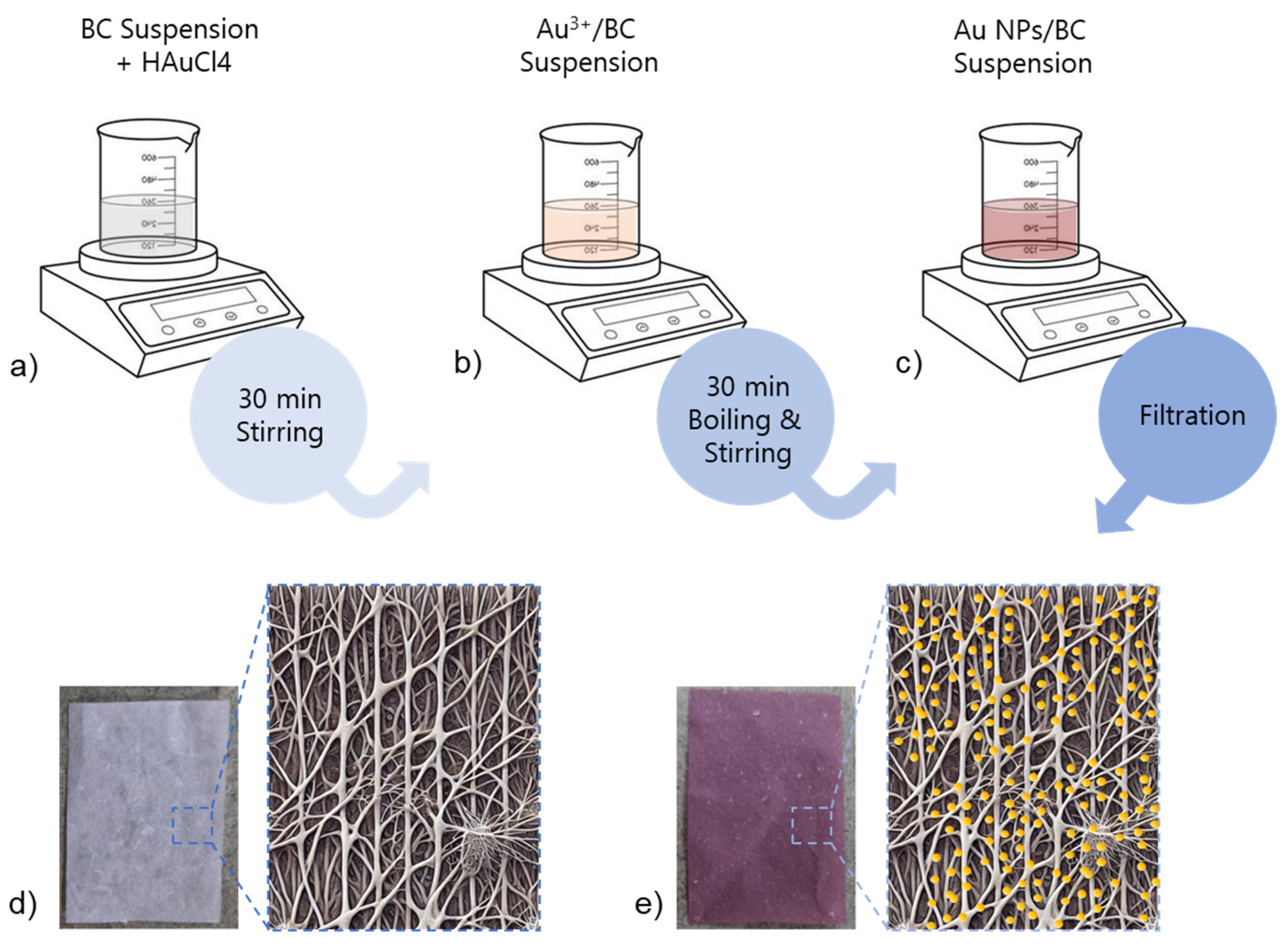 Biosensors 15 00069 g001