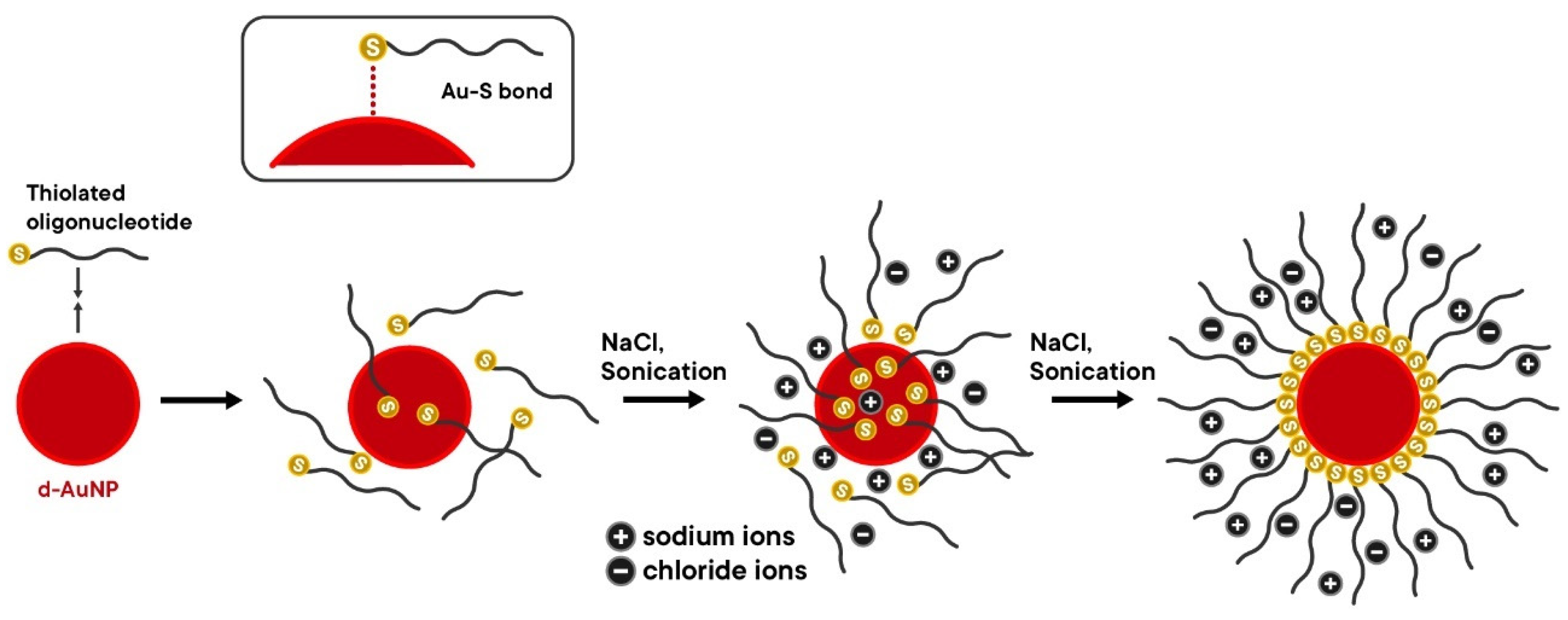 Biosensors 15 00071 g009