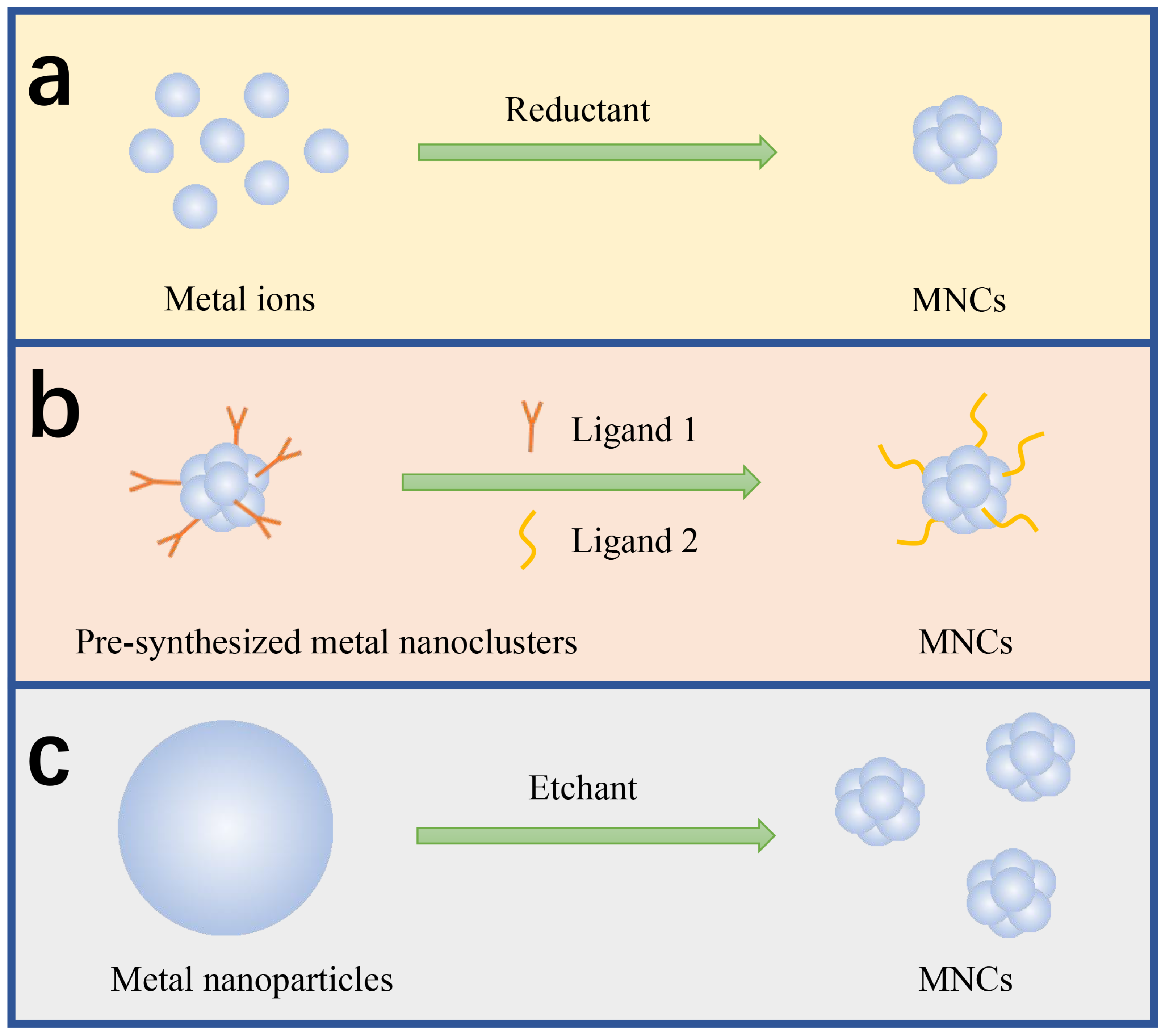 Biosensors 15 00072 g001