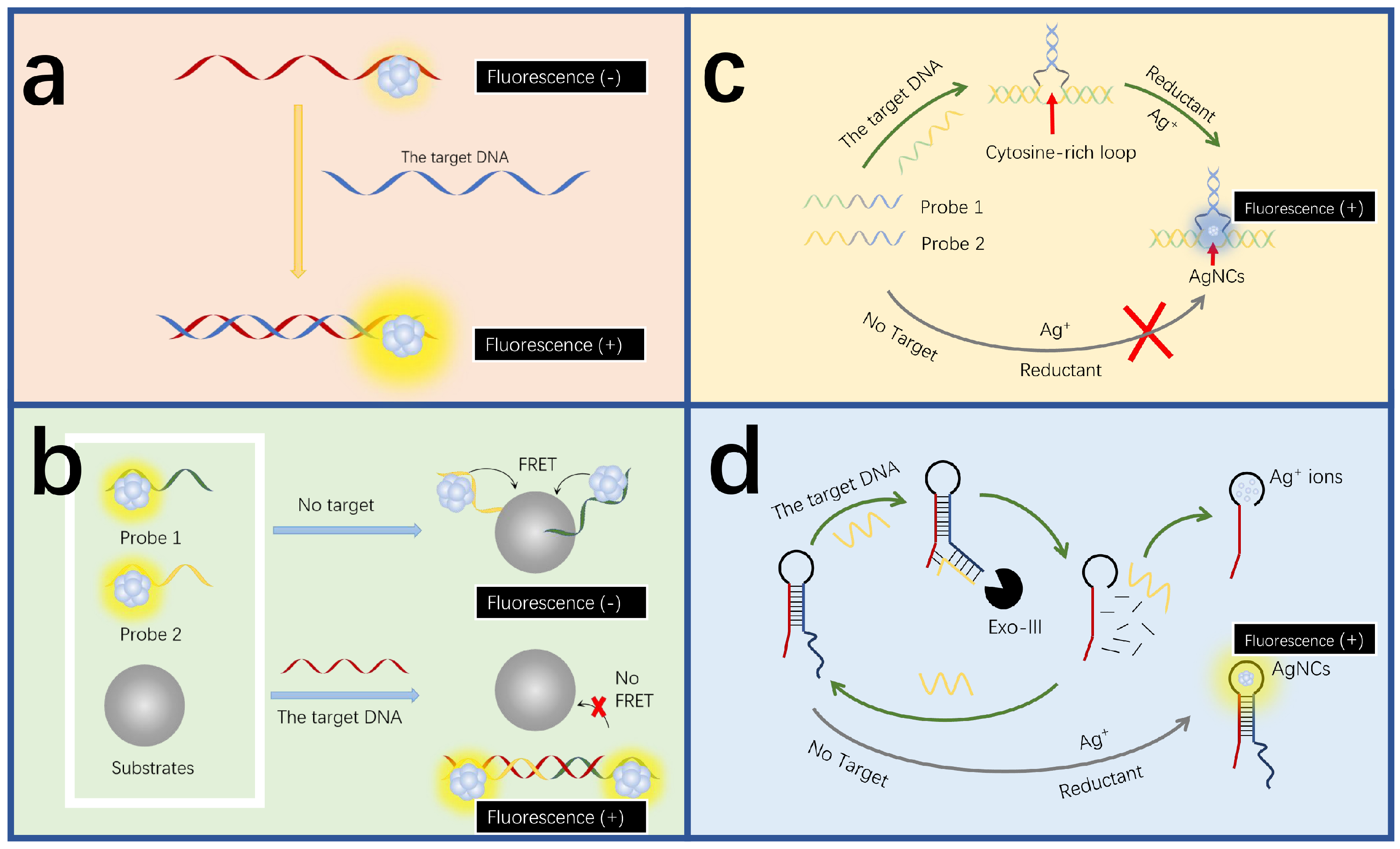 Biosensors 15 00072 g002