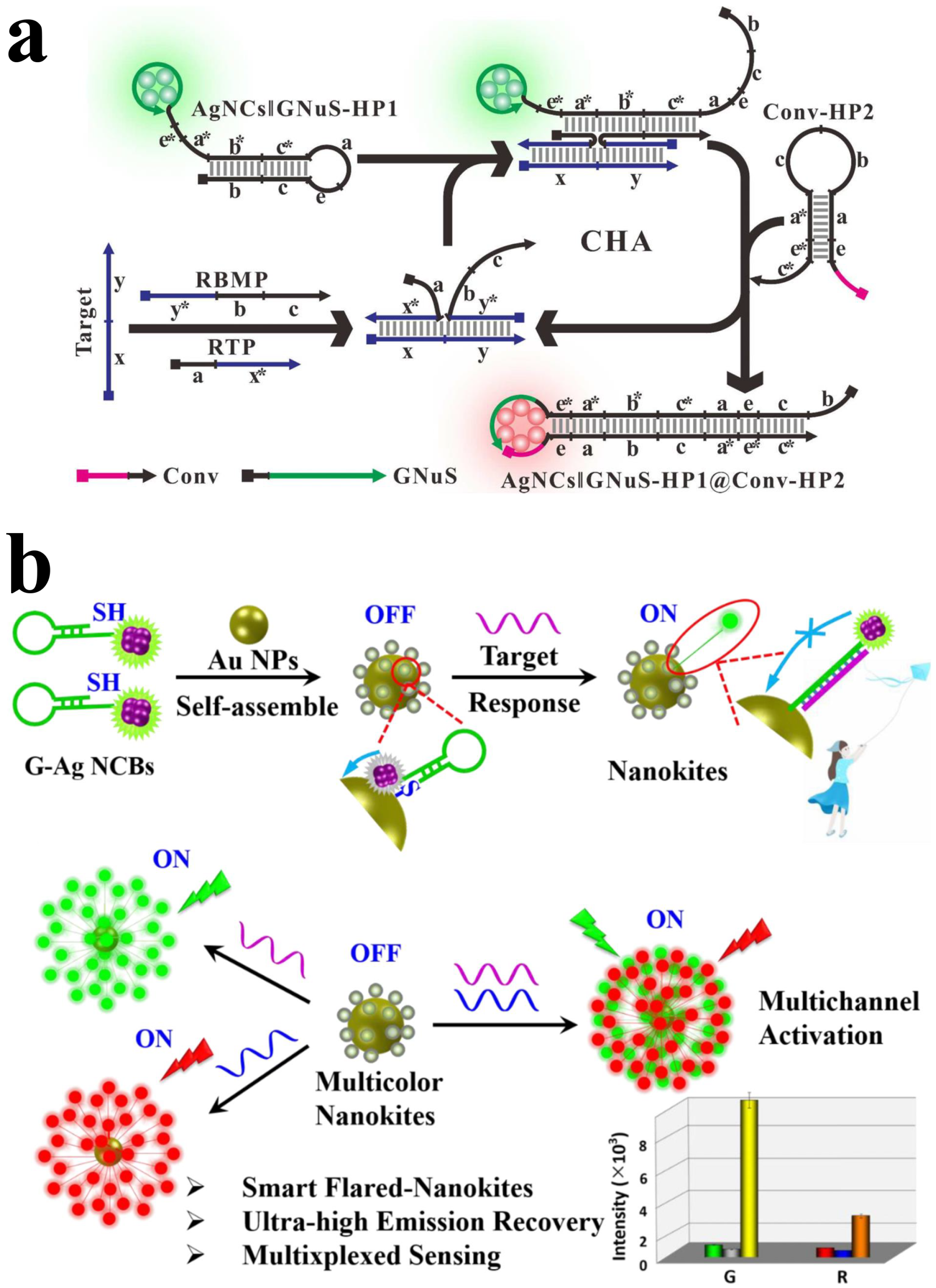 Biosensors 15 00072 g003
