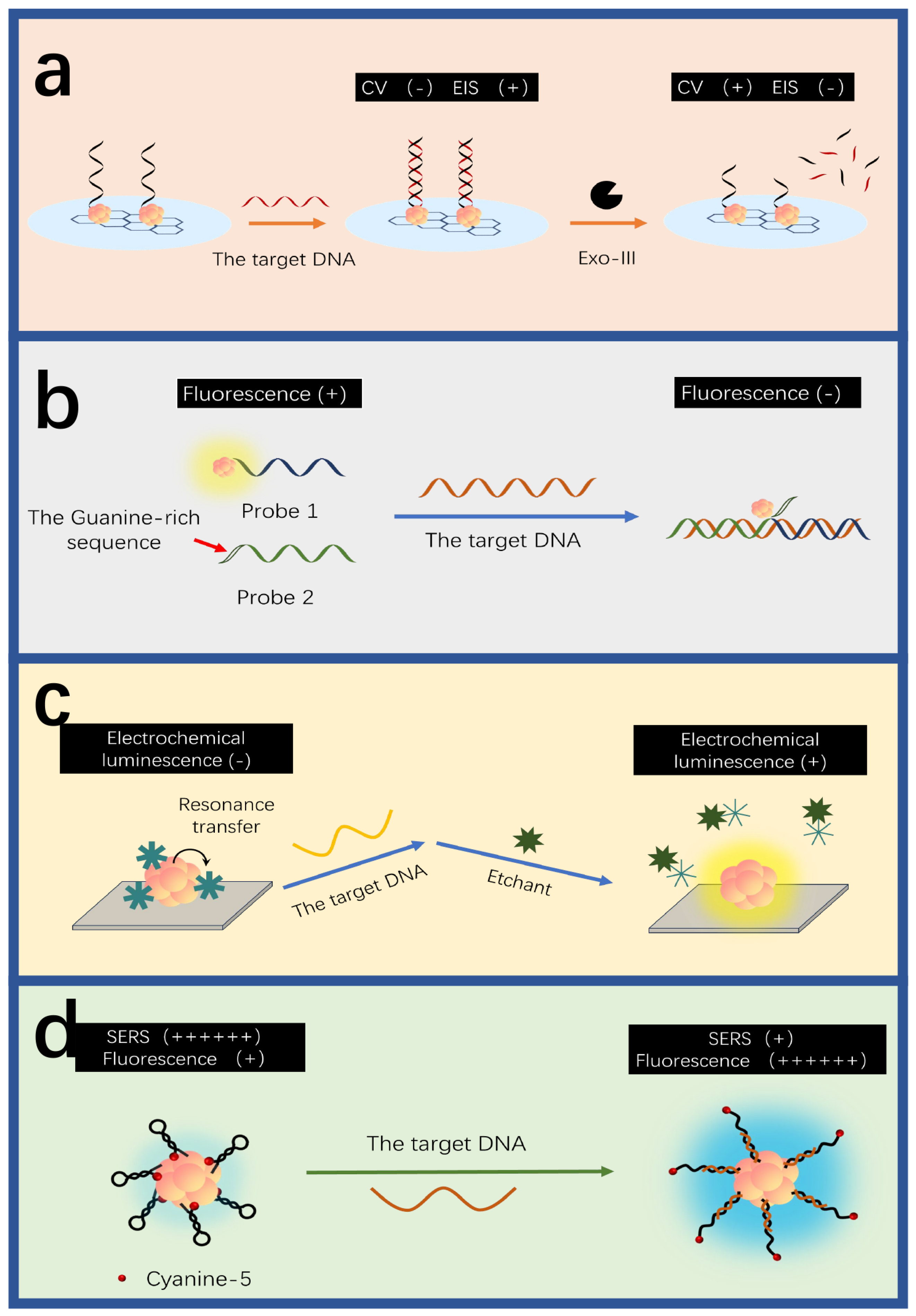 Biosensors 15 00072 g004