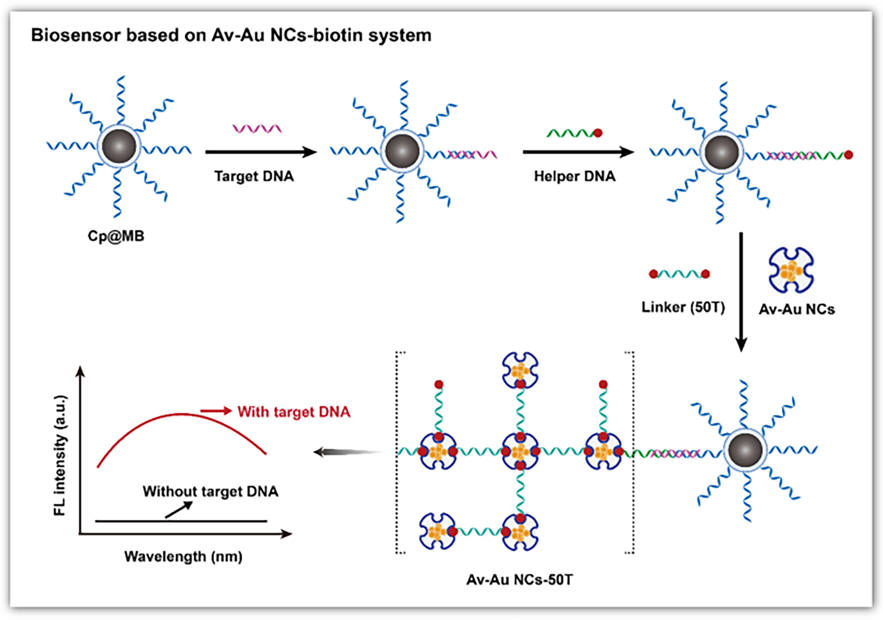 Biosensors 15 00072 g005