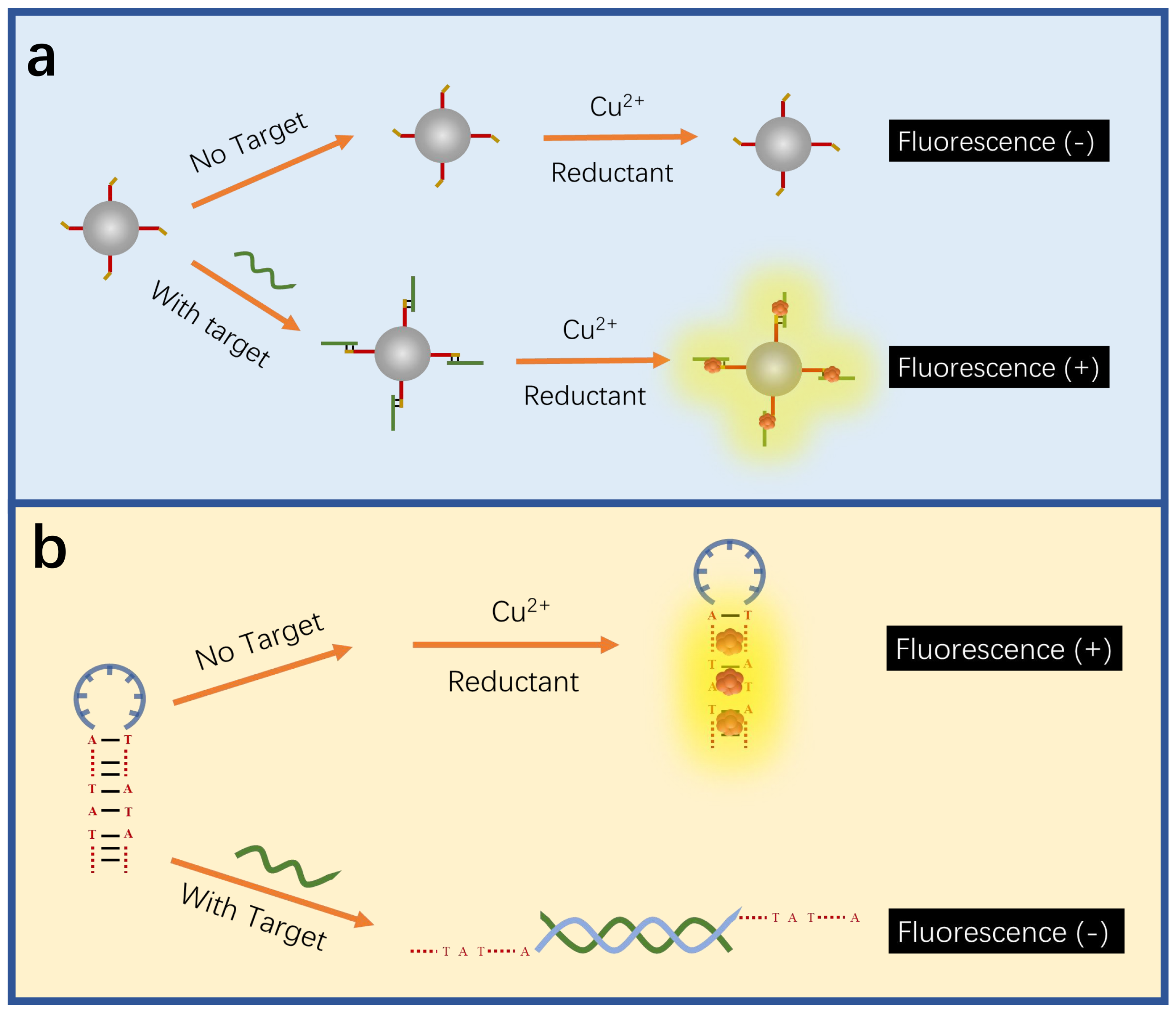 Biosensors 15 00072 g006