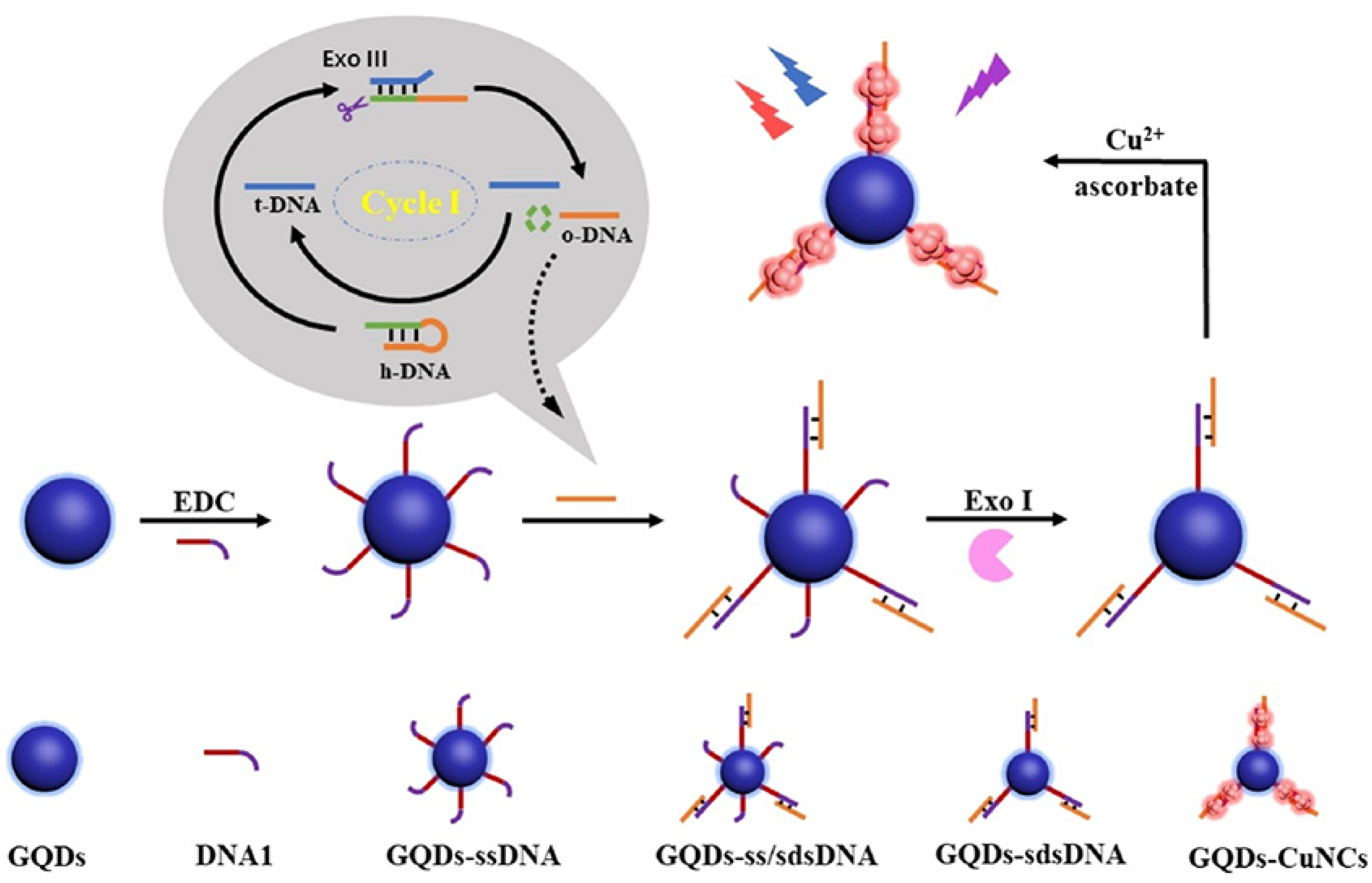 Biosensors 15 00072 g007
