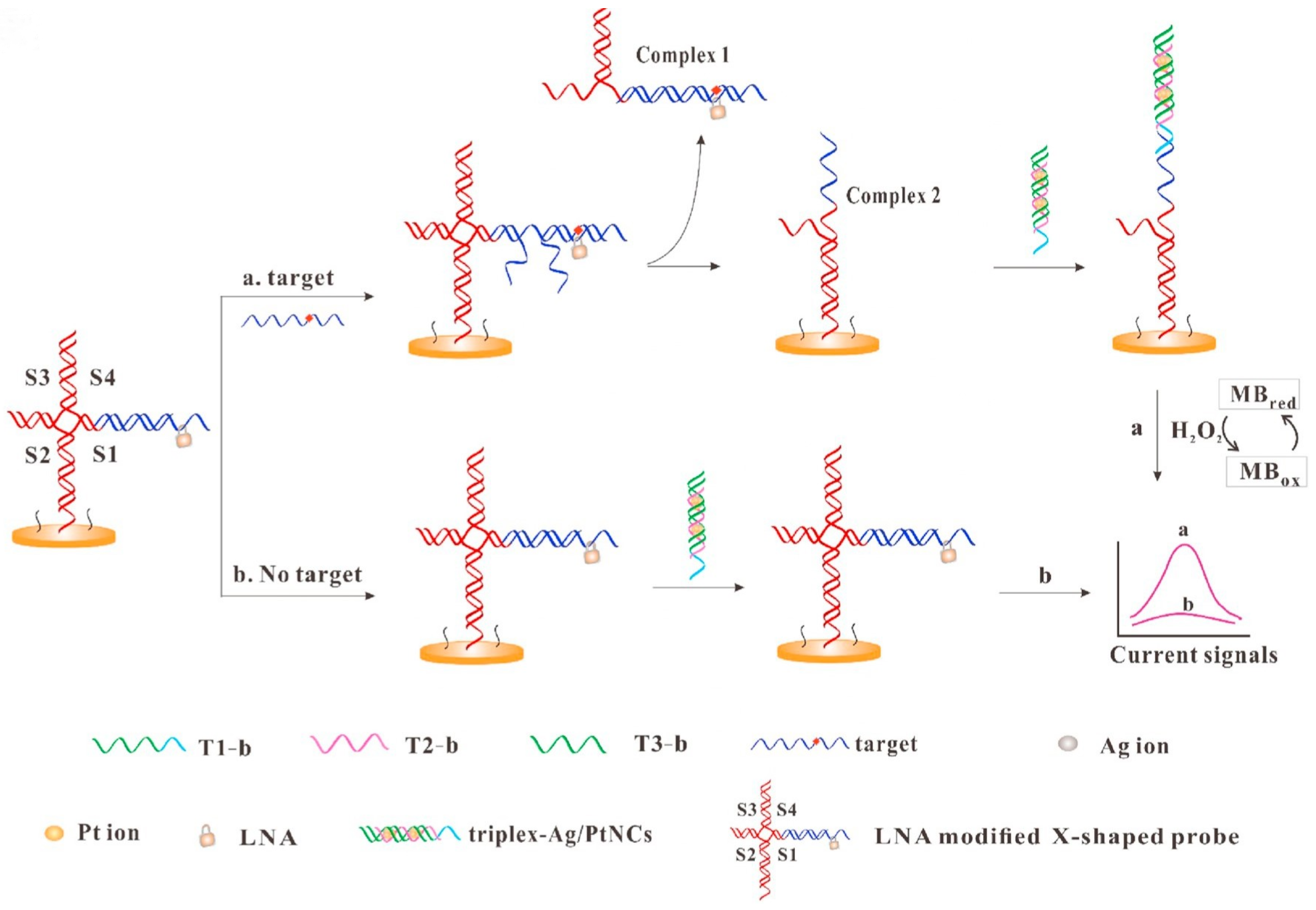 Biosensors 15 00072 g008