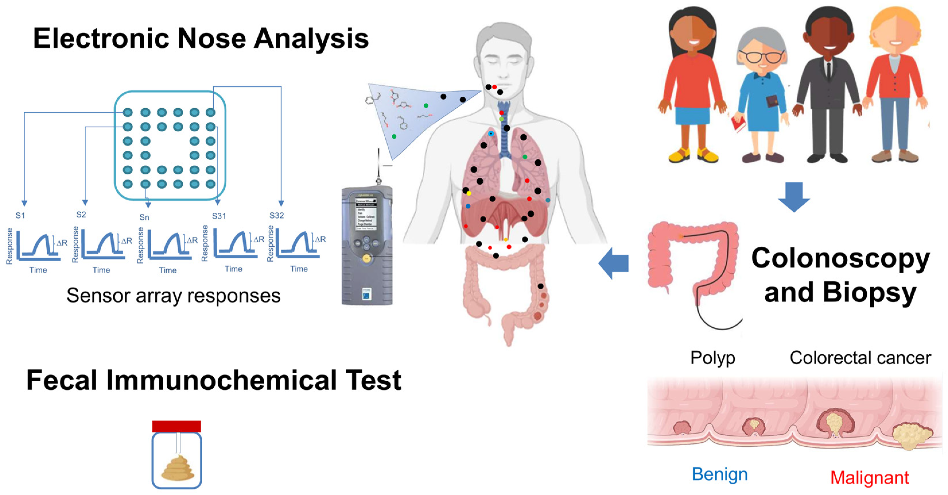Biosensors 15 00082 g001