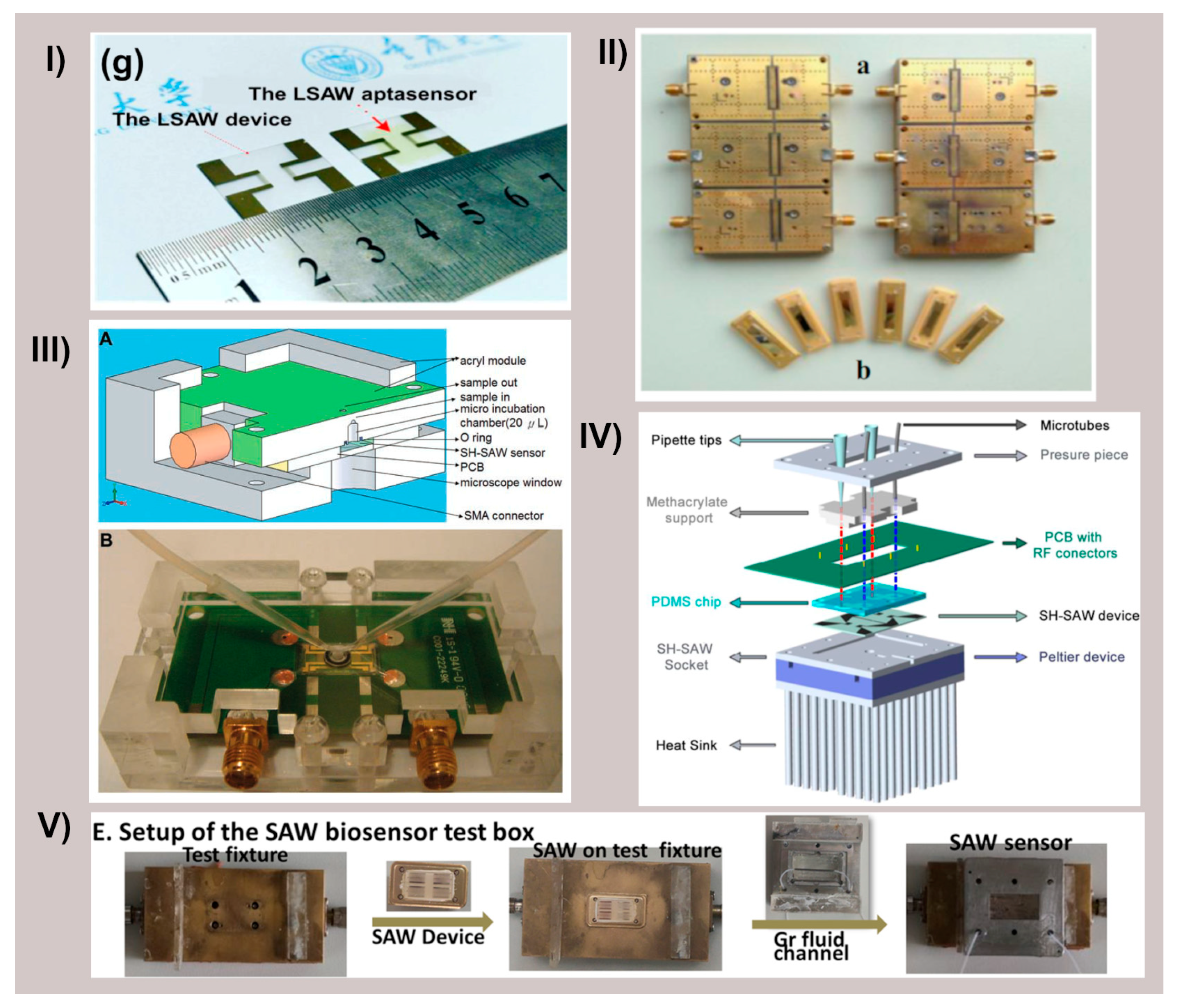 Biosensors 15 00088 g004
