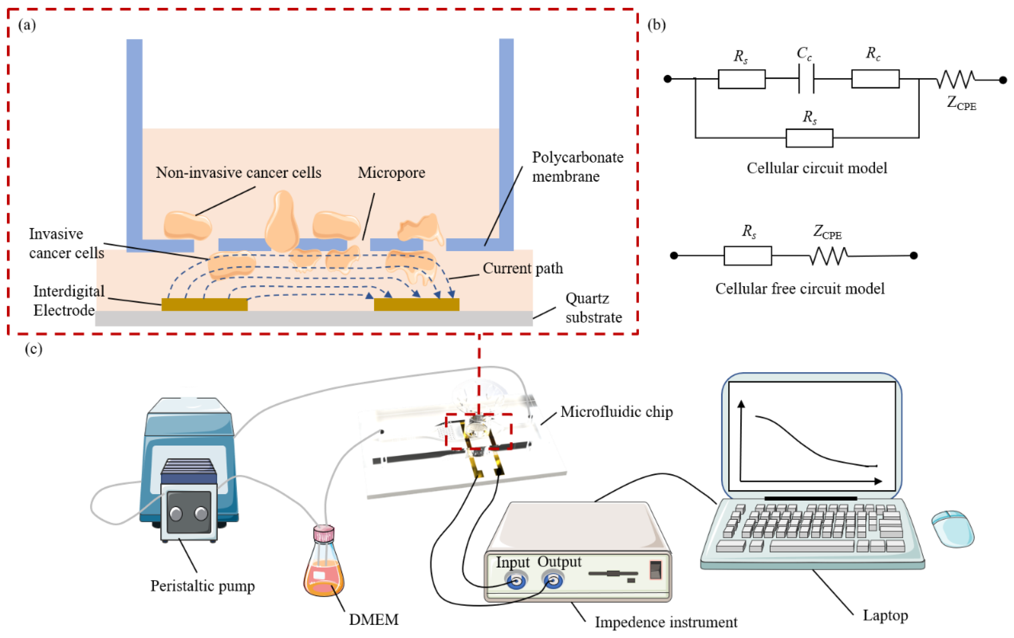 Biosensors 15 00091 g001