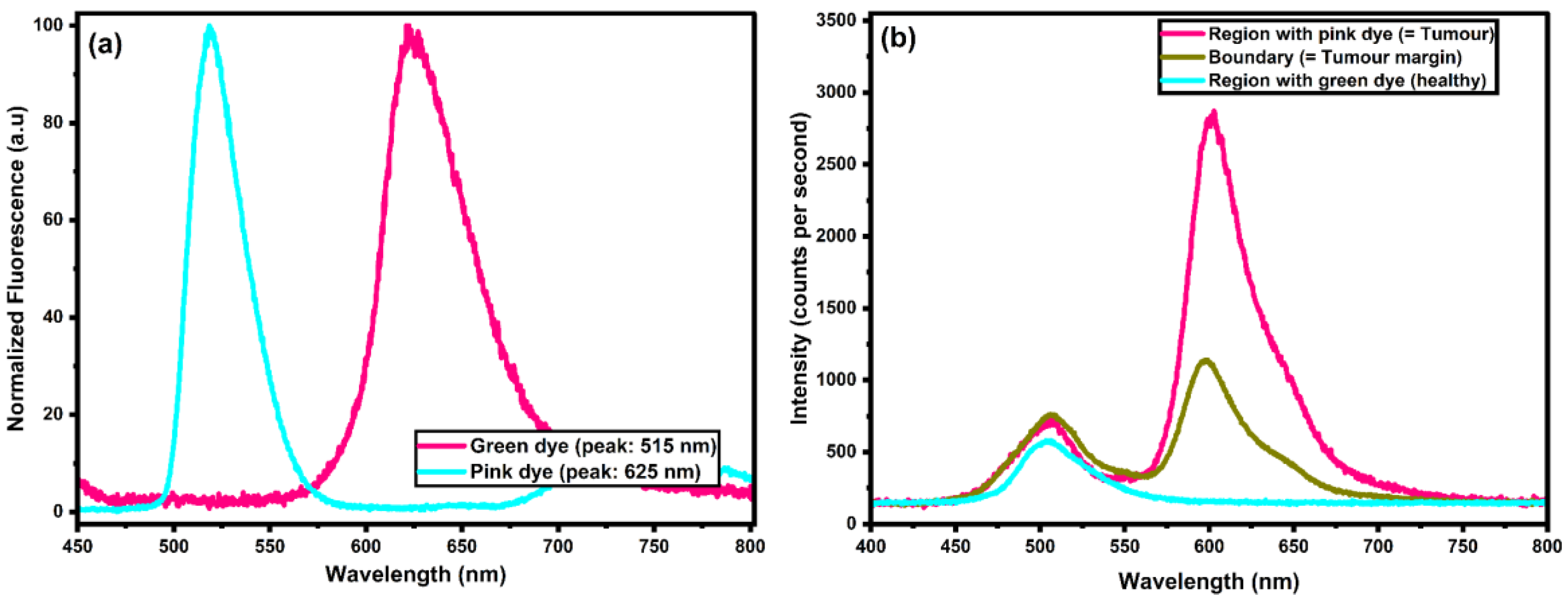 Biosensors 15 00095 g002