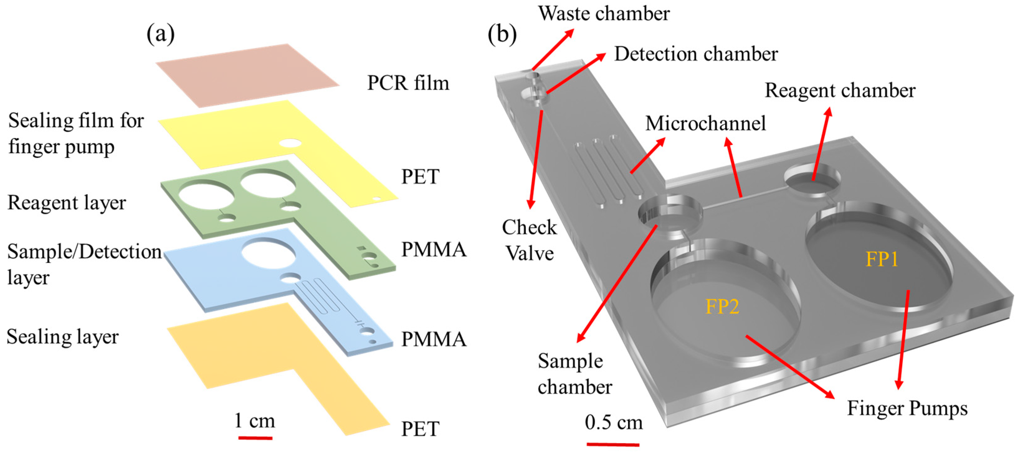 Biosensors 15 00104 g001