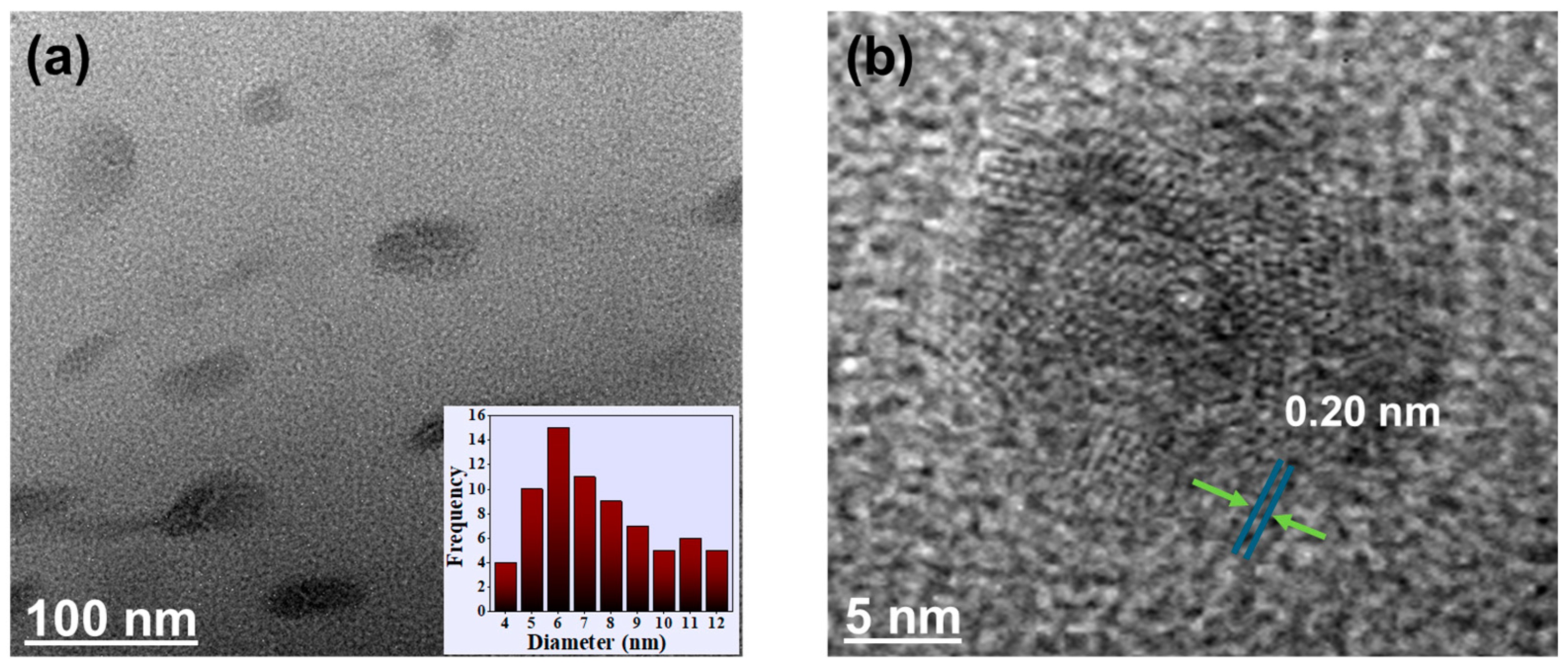 Biosensors 15 00105 g002