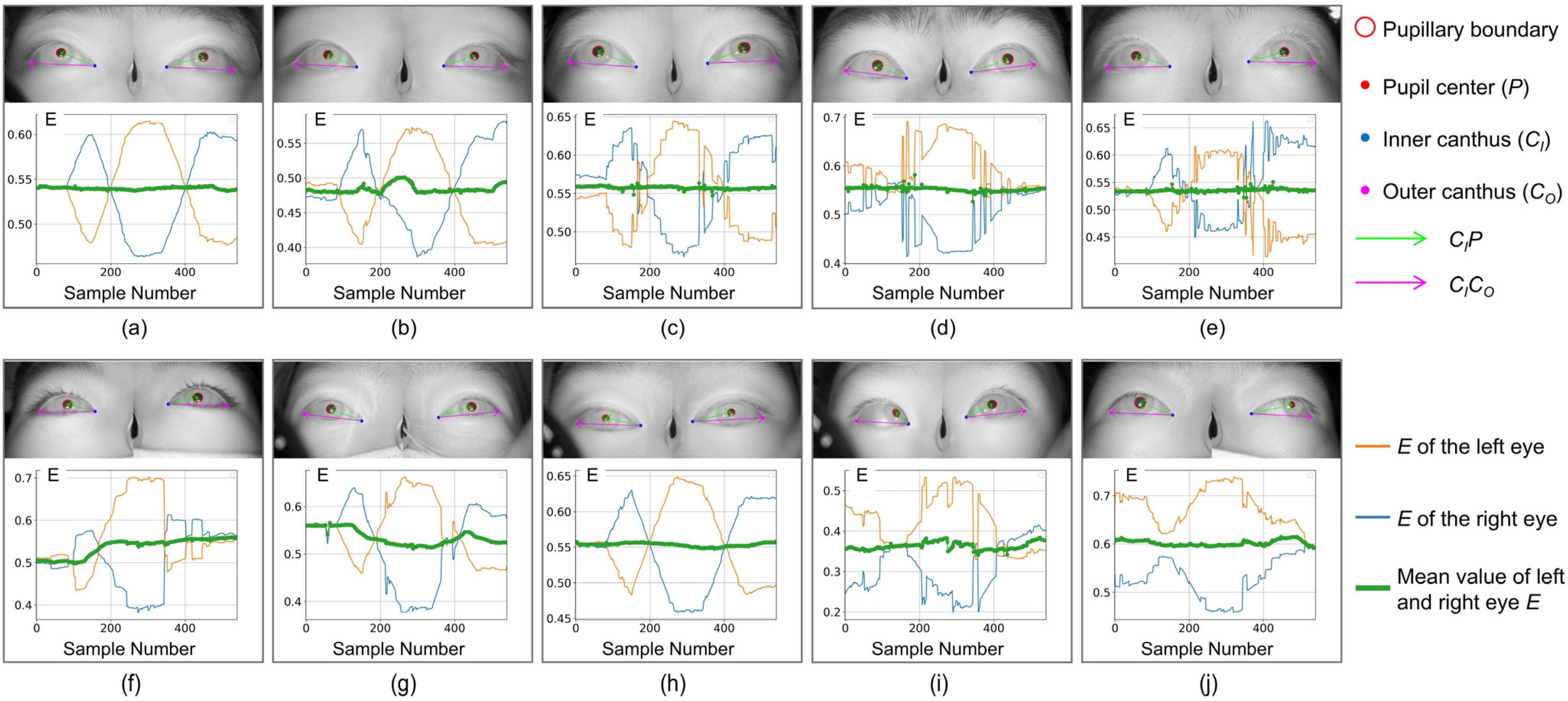 Biosensors 15 00110 g005