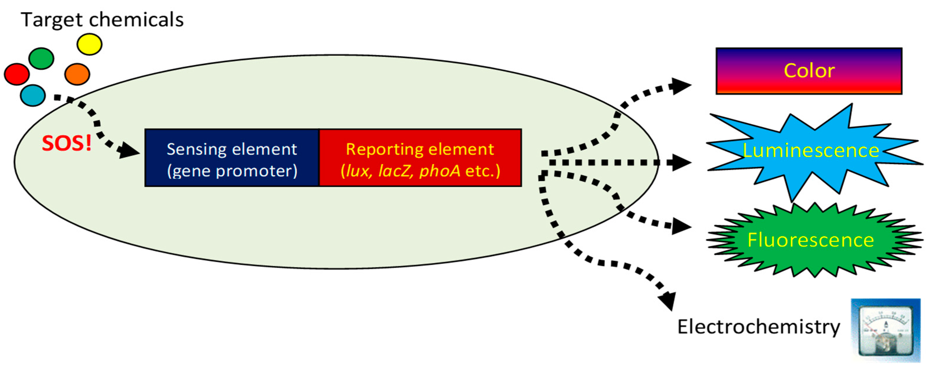 Biosensors 15 00111 g001