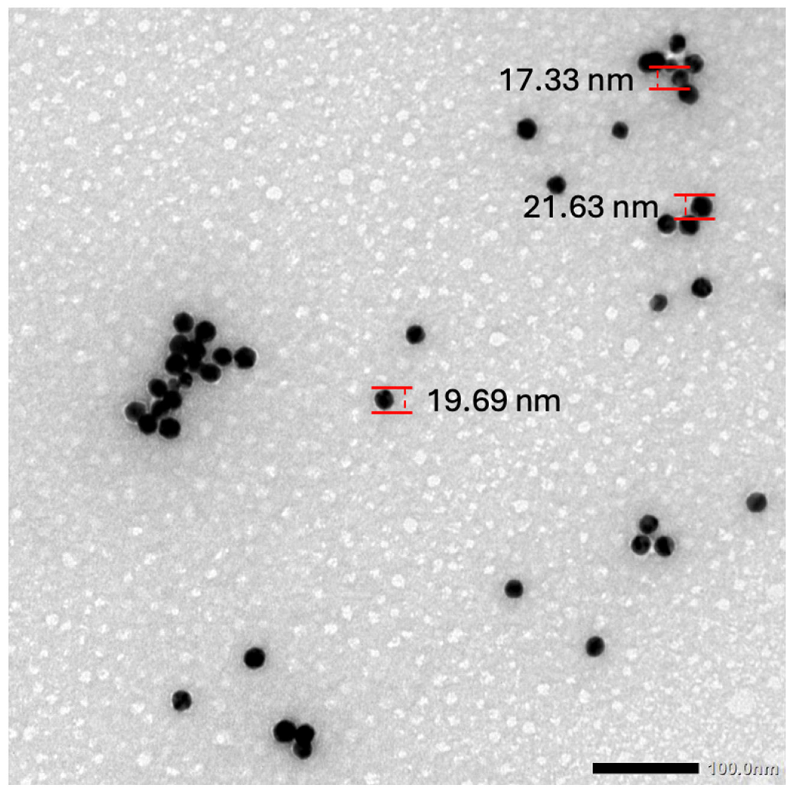 Biosensors 15 00112 g001