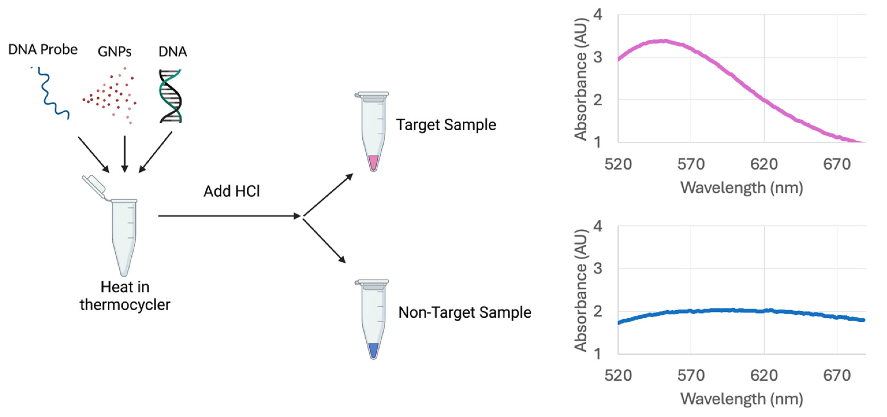 Biosensors 15 00112 g003