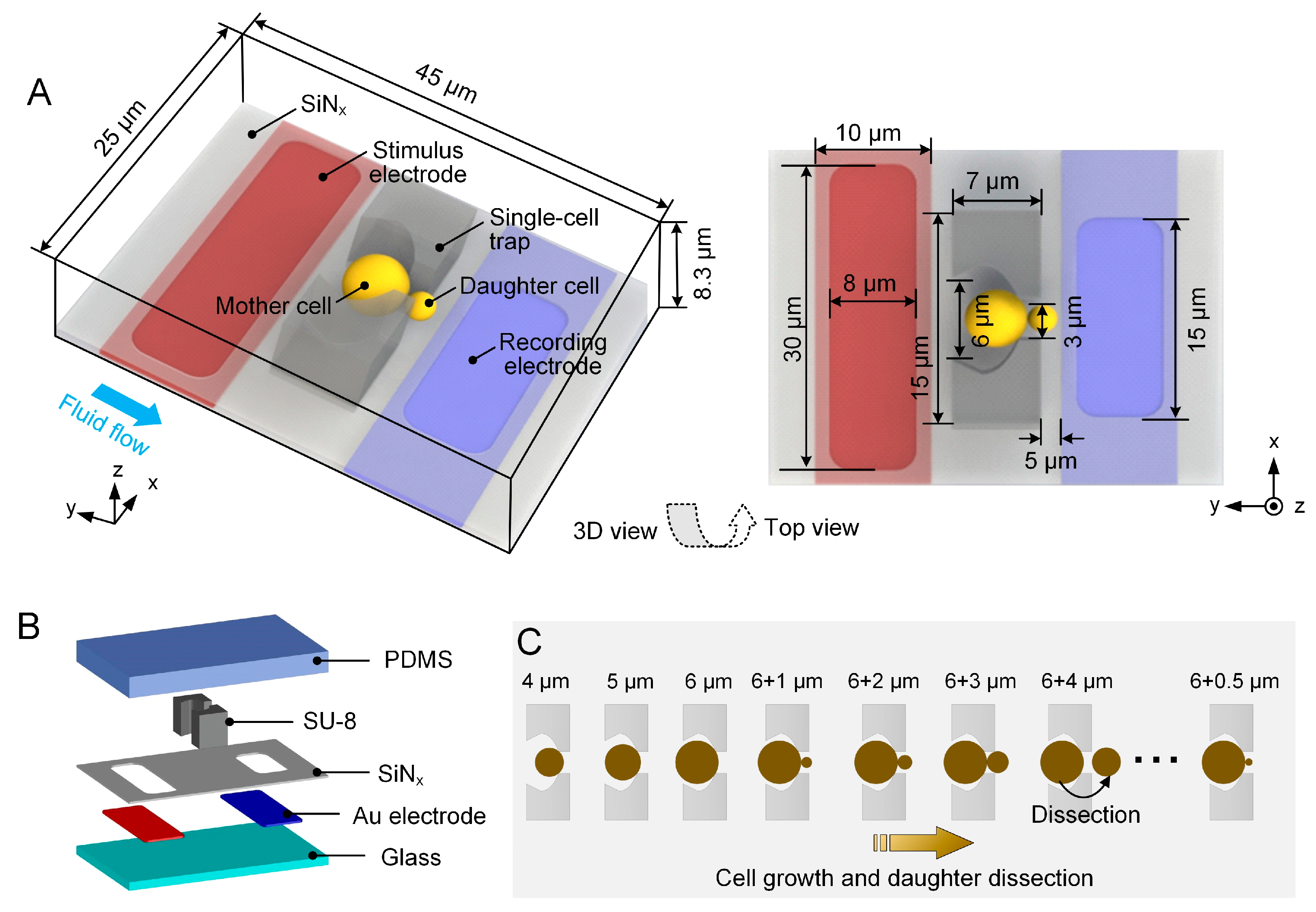 Biosensors 15 00113 g001