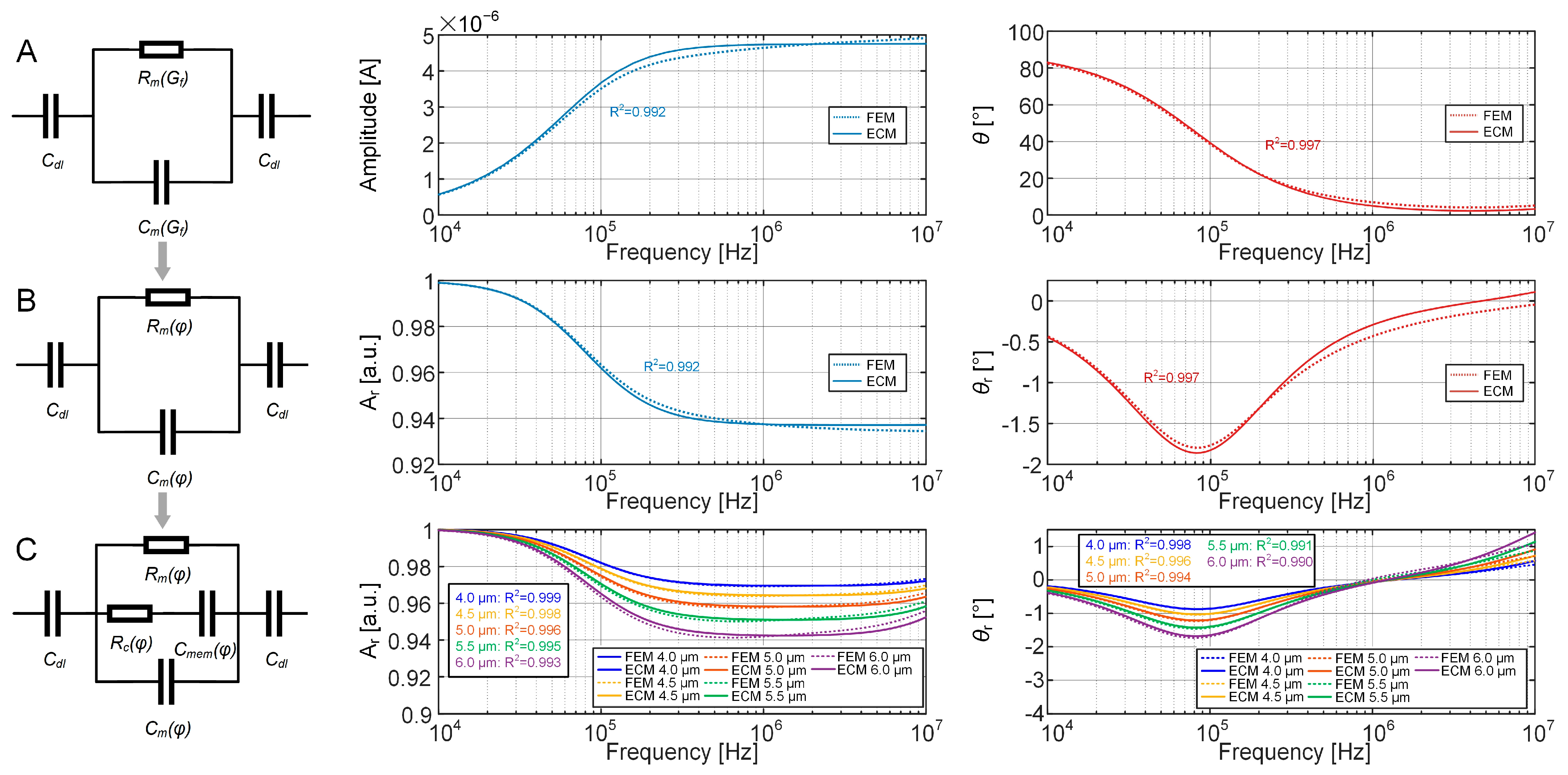 Biosensors 15 00113 g003