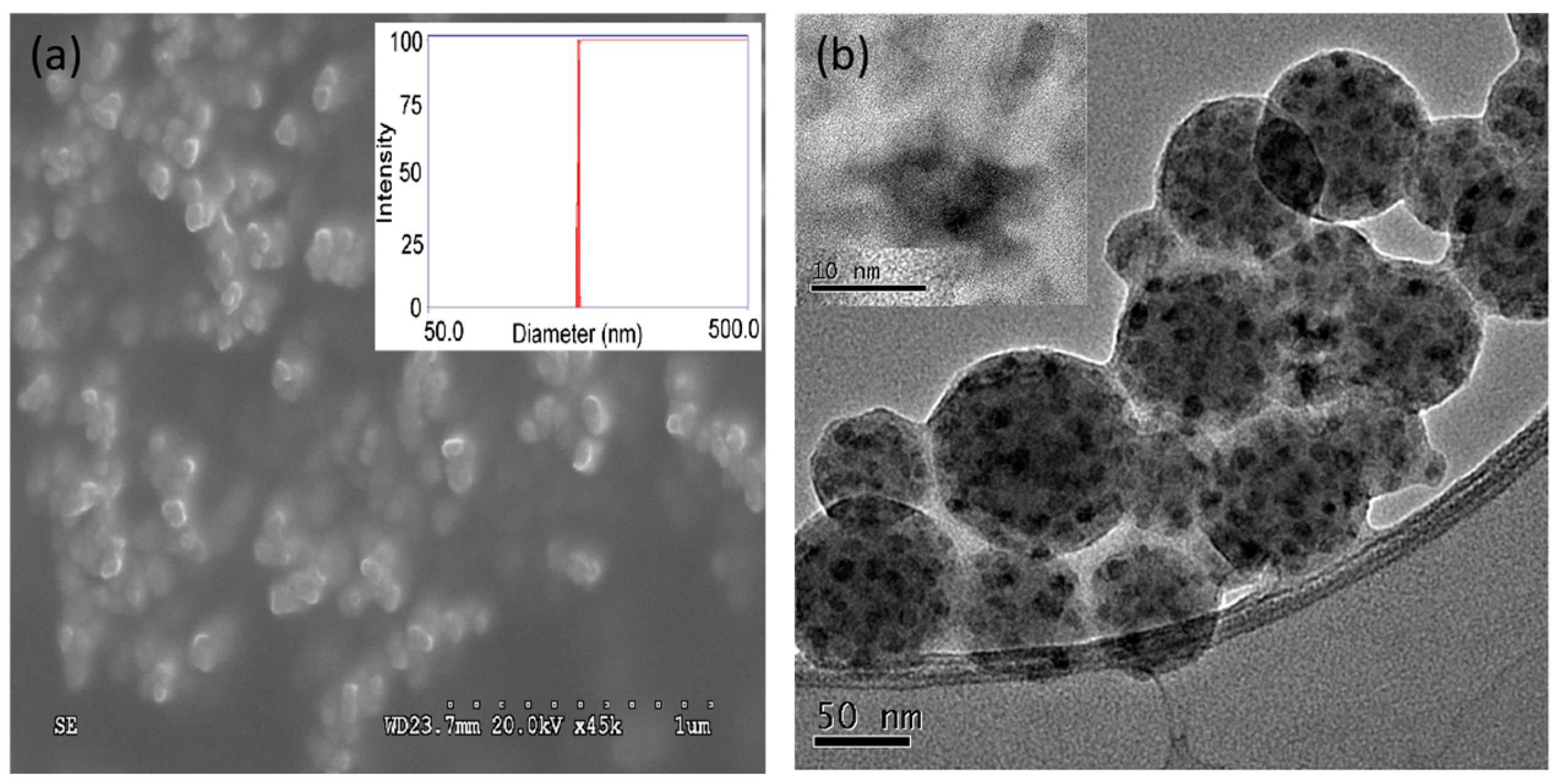 Biosensors 15 00114 g001