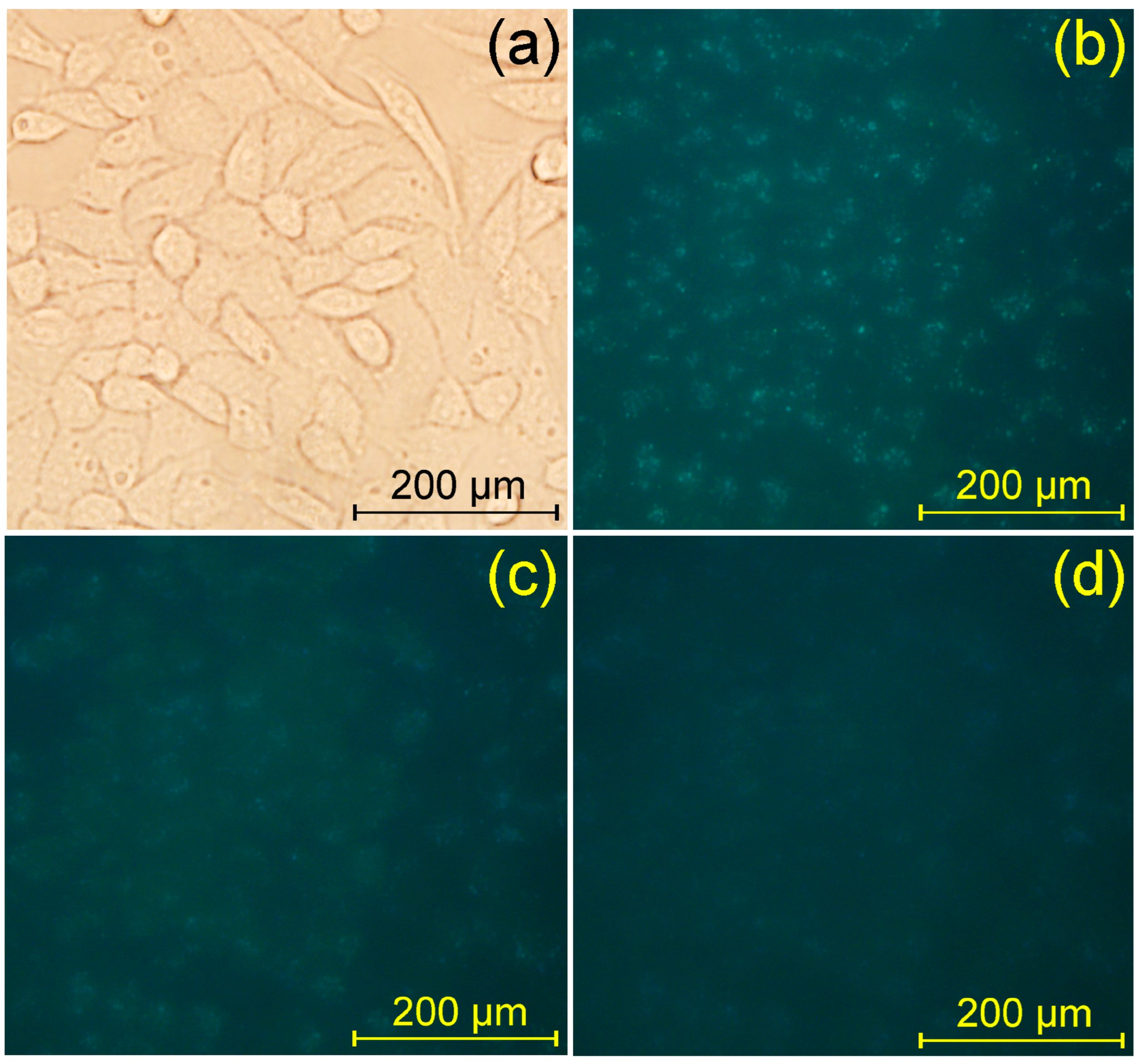 Biosensors 15 00114 g009