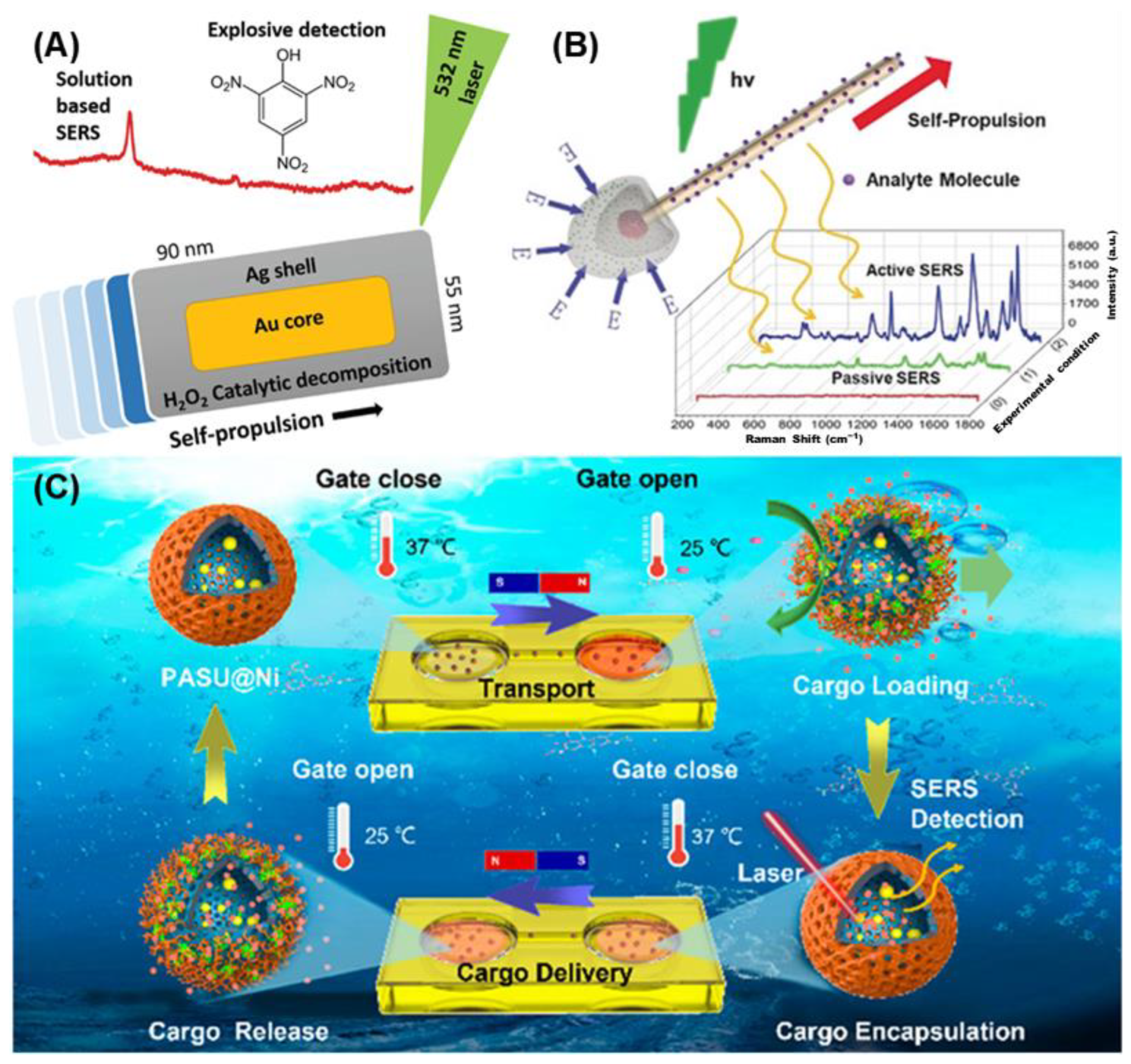 Biosensors 15 00115 g001