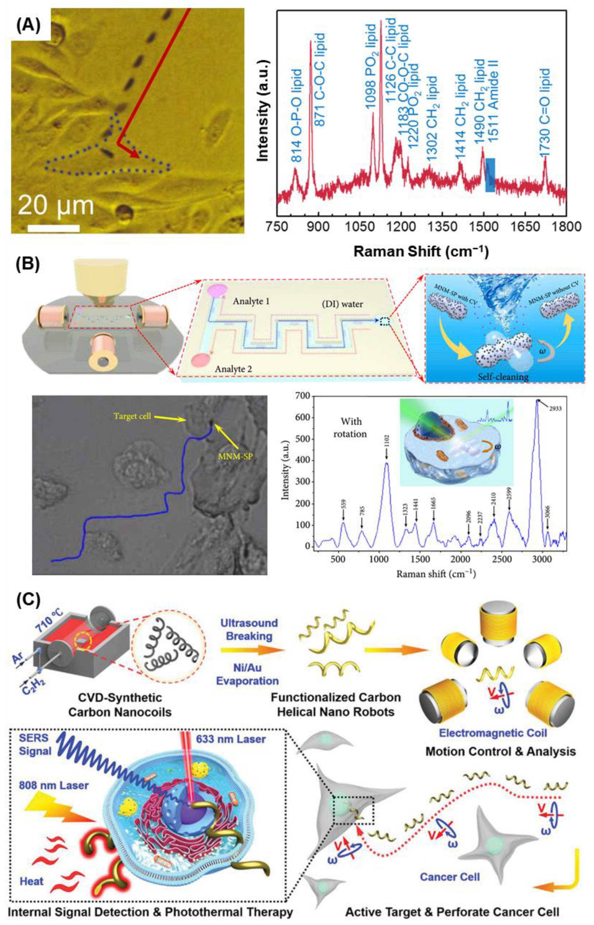 Biosensors 15 00115 g004