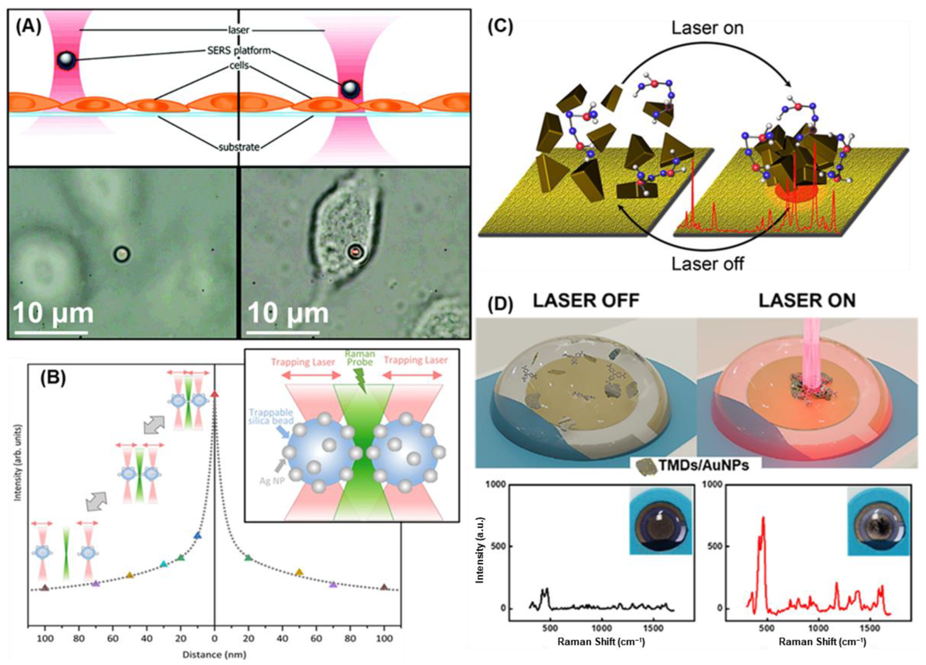 Biosensors 15 00115 g006